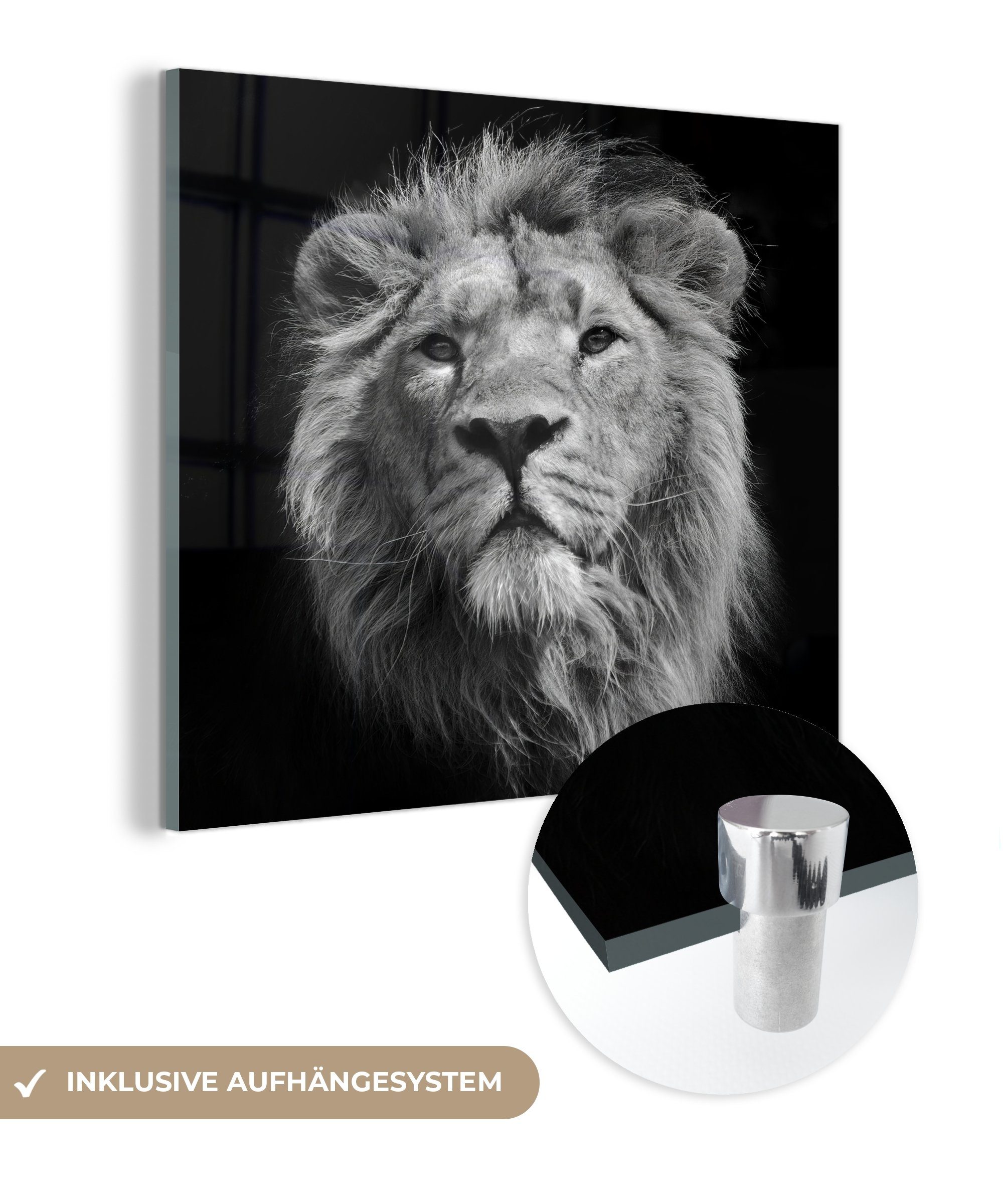MuchoWow Acrylglasbild Löwe - Tier - Schwarz - Weiß, (1 St), Glasbilder - Bilder auf Glas Wandbild - Foto auf Glas - Wanddekoration