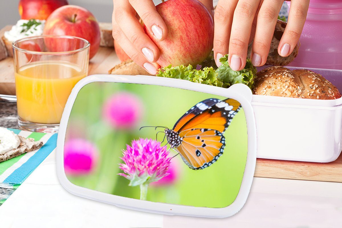 - Insekten MuchoWow Lunchbox und Brotbox Kinder Schmetterlinge Erwachsene, für (2-tlg), Kunststoff, Brotdose, Blumen, - Jungs Mädchen weiß und für