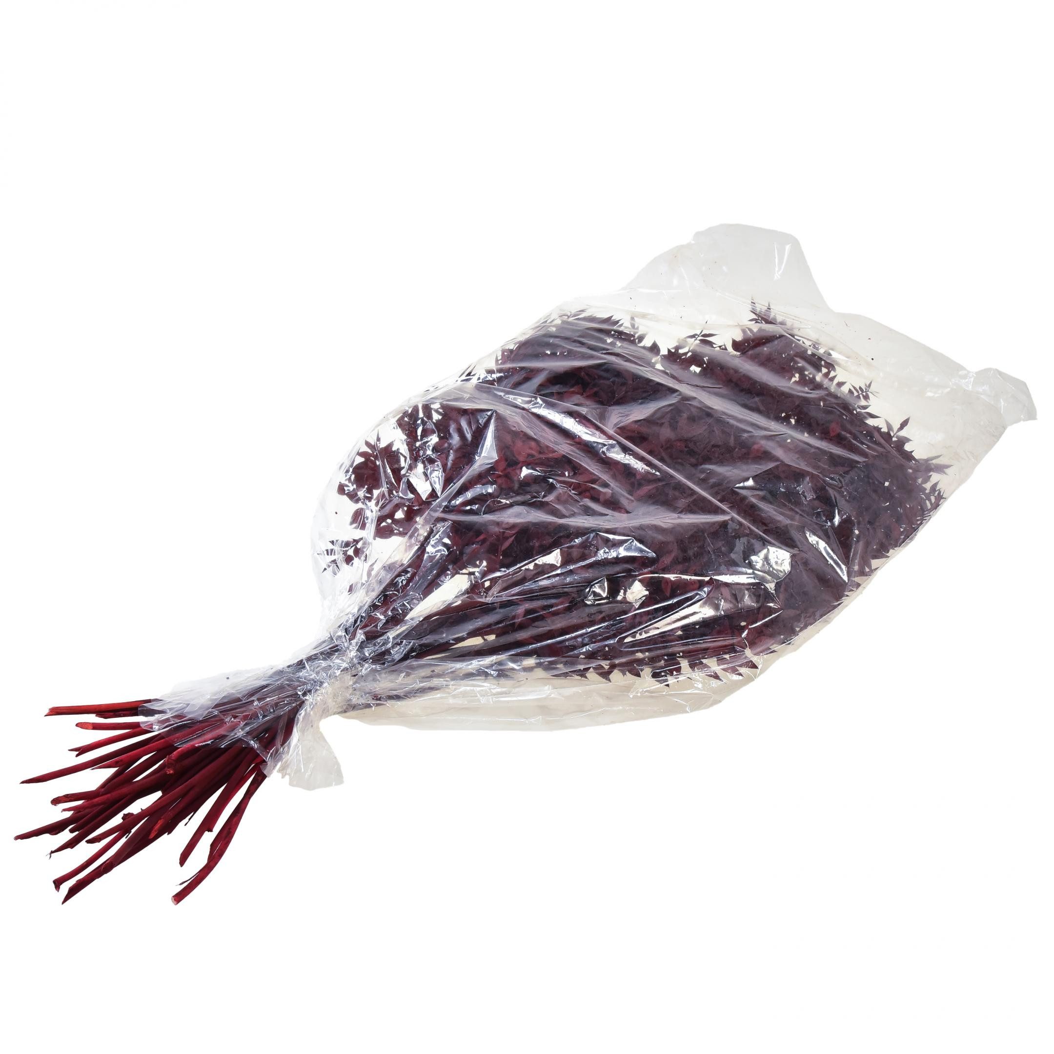 Trockenblume Ruscus Rot Deko Zweige getrocknet Dunkelrot 75-95cm 1kg, Florists Products, Höhe 95 cm