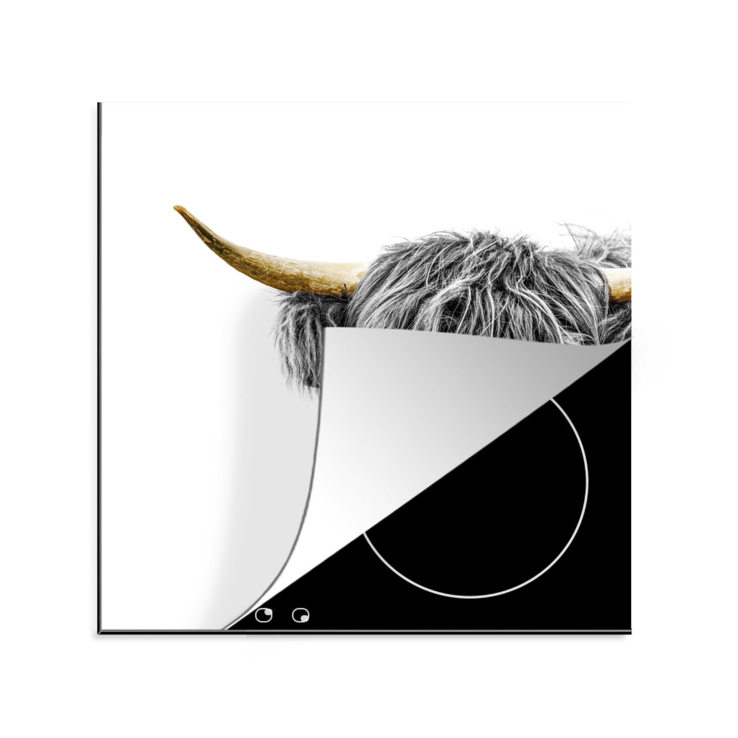 MuchoWow Herdblende-/Abdeckplatte Schottischer Highlander - Tiere - Goldene Hörner, Vinyl, (1 tlg), 78x78 cm, Ceranfeldabdeckung, Arbeitsplatte für küche