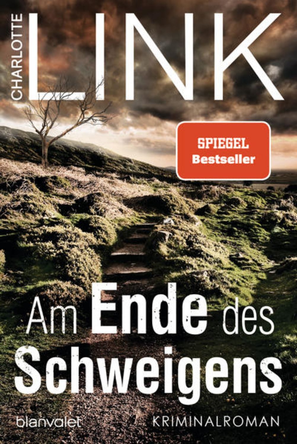 Am Ende des Schweigens / Charlotte Link