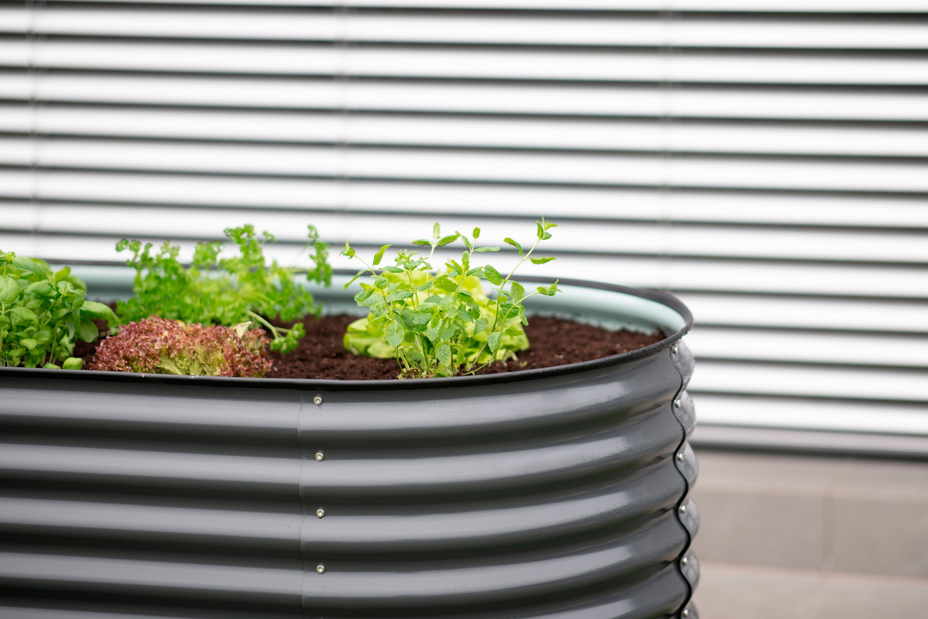 WESTMANN Hochbeet Oval 160, BxTxH: 160x80x82 cm