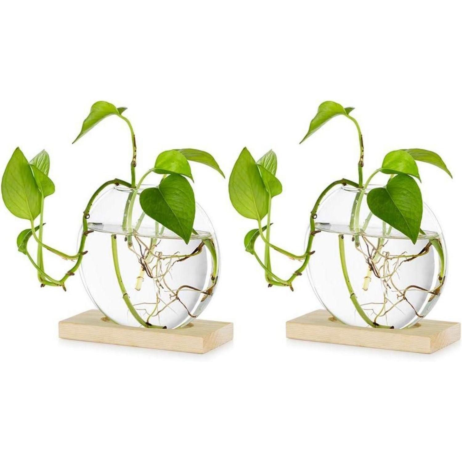 LuxusKollektion Tischvase Pflanzer Glas Vase Holz Hydroponik Stecklinge Licht 2