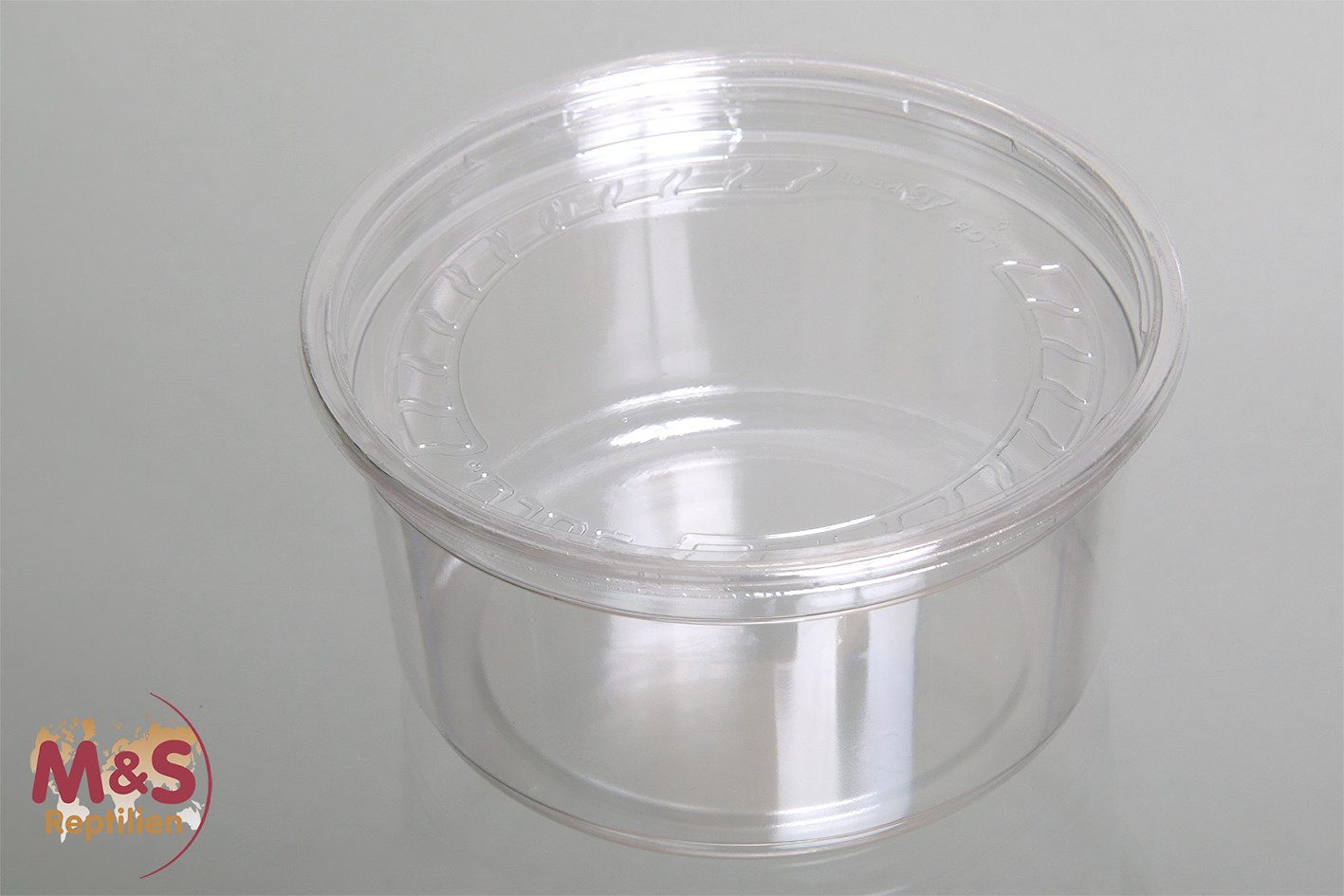 M&S Reptilien Terrarium Becher mit Deckel, Höhe 6cm (passend zu Eiablagebehälter)