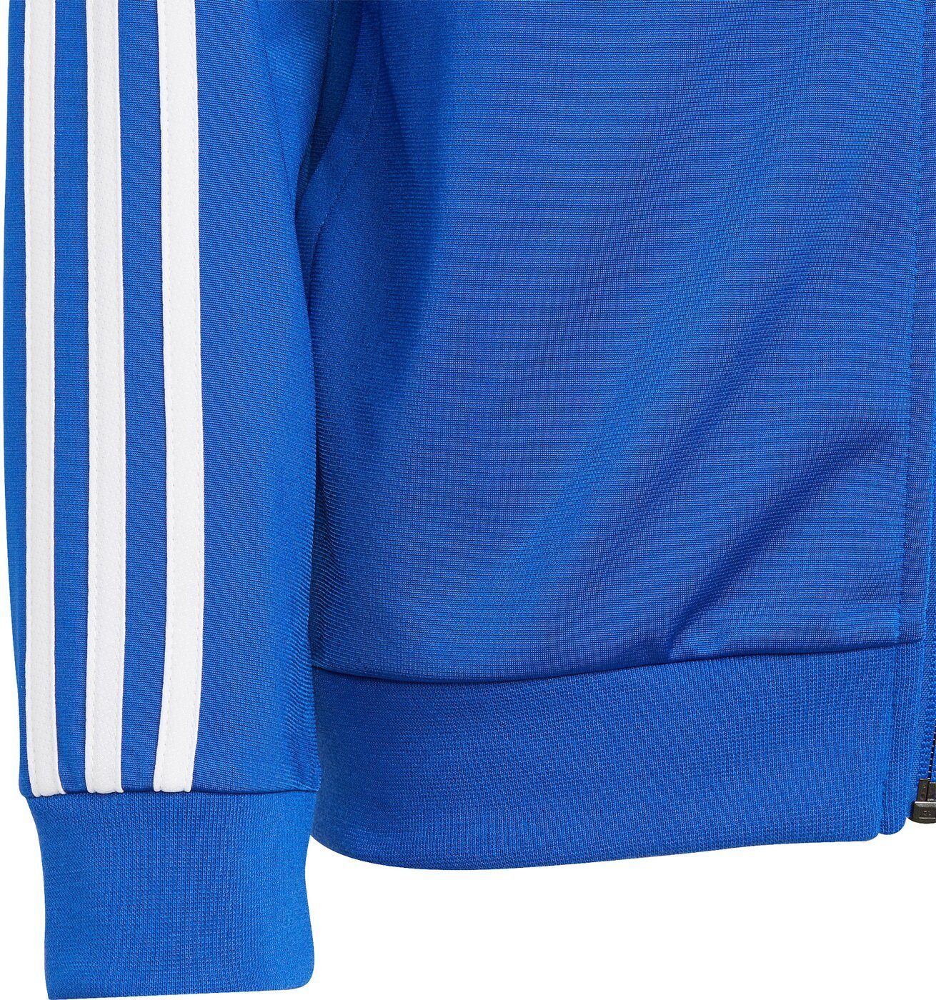 BOBLUE/WHITE adidas TS B Sportswear TEAM Trainingsanzug