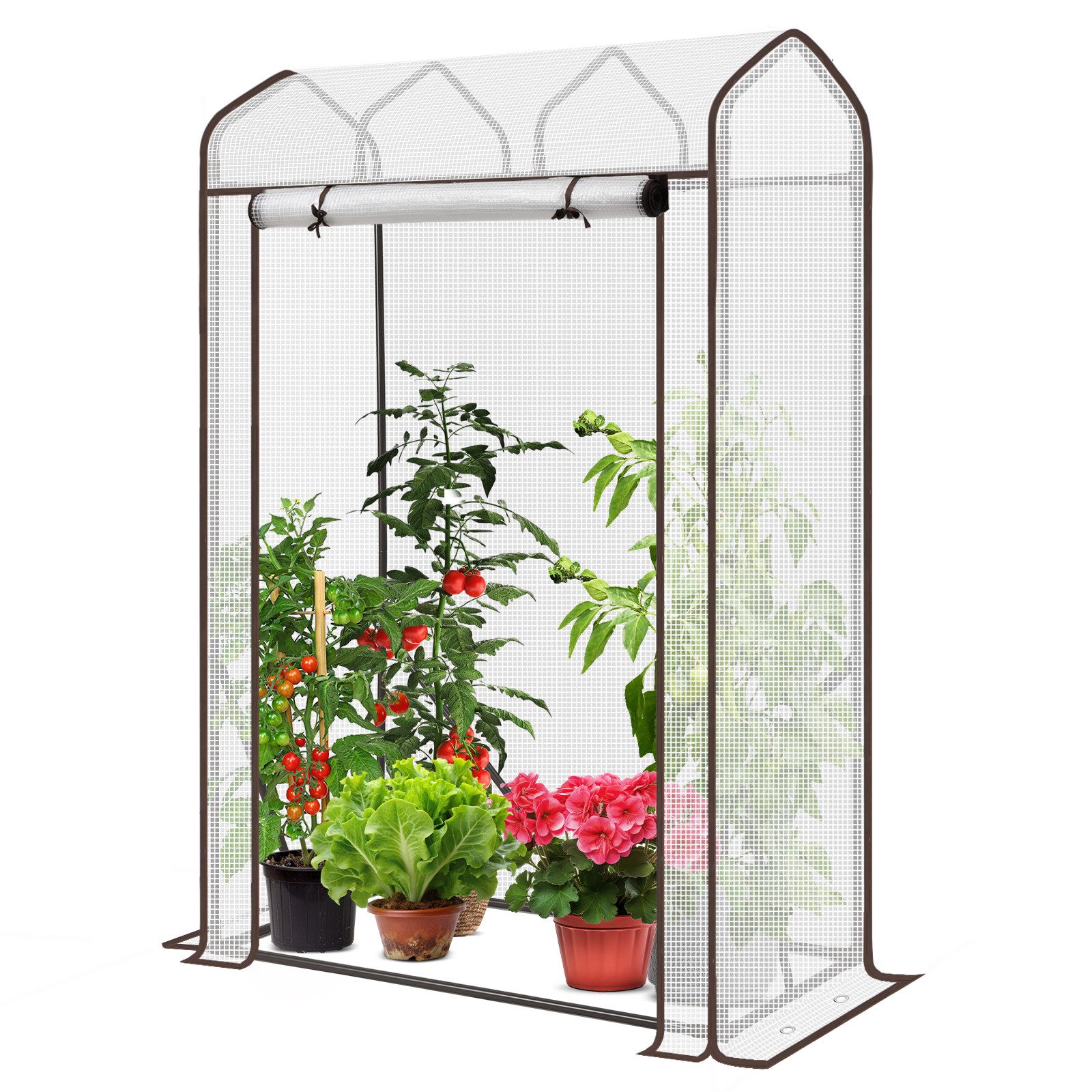 Sekey Tomatengewächshaus 100 x 50 x 150 cm Foliengewächshaus Klein Tomatenh günstig online kaufen