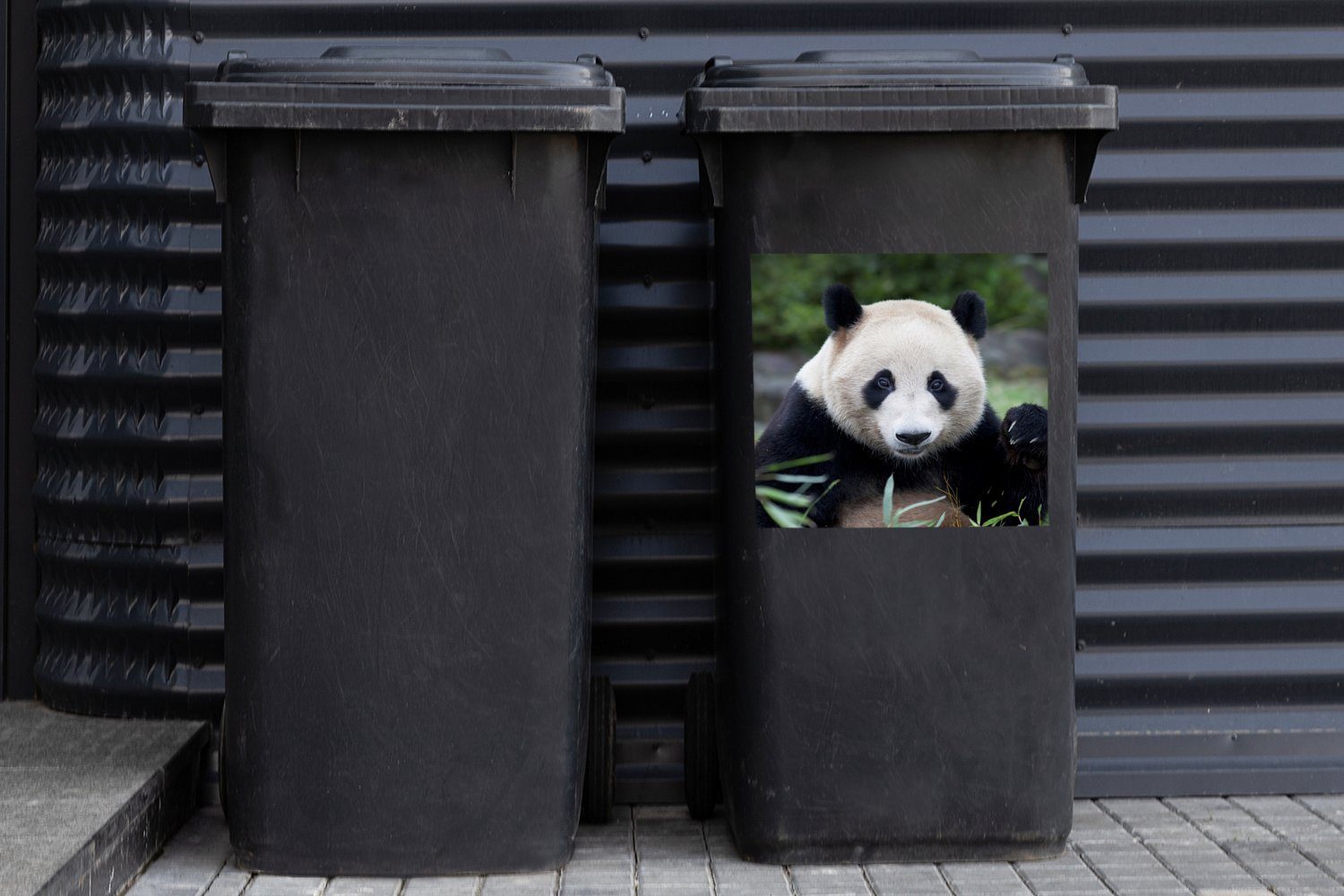 Gras Steine Wandsticker Abfalbehälter (1 - Großer - Container, St), Mülleimer-aufkleber, Mülltonne, Panda Sticker, MuchoWow