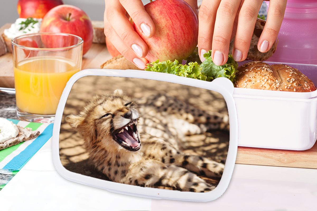 MuchoWow Lunchbox Gepard Mädchen Kinder (2-tlg), - und Brotbox für Tier Erwachsene, Kunststoff, - Nahaufnahme, Brotdose, Jungs und weiß für