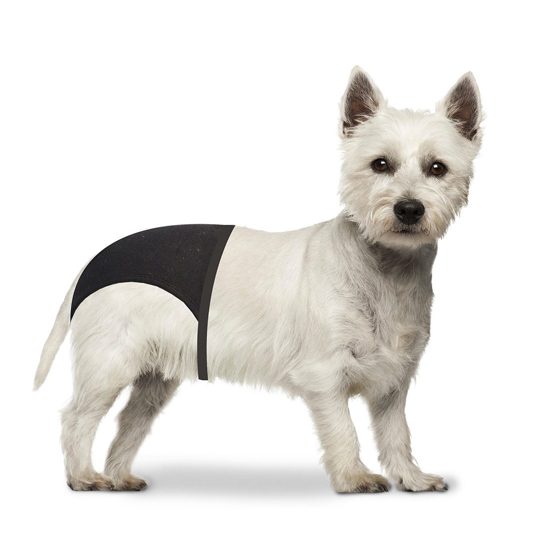 DUVO+ Hundetoilette Duvoplus Schutzhöschen - Schwarz Umfang: 18-23cm