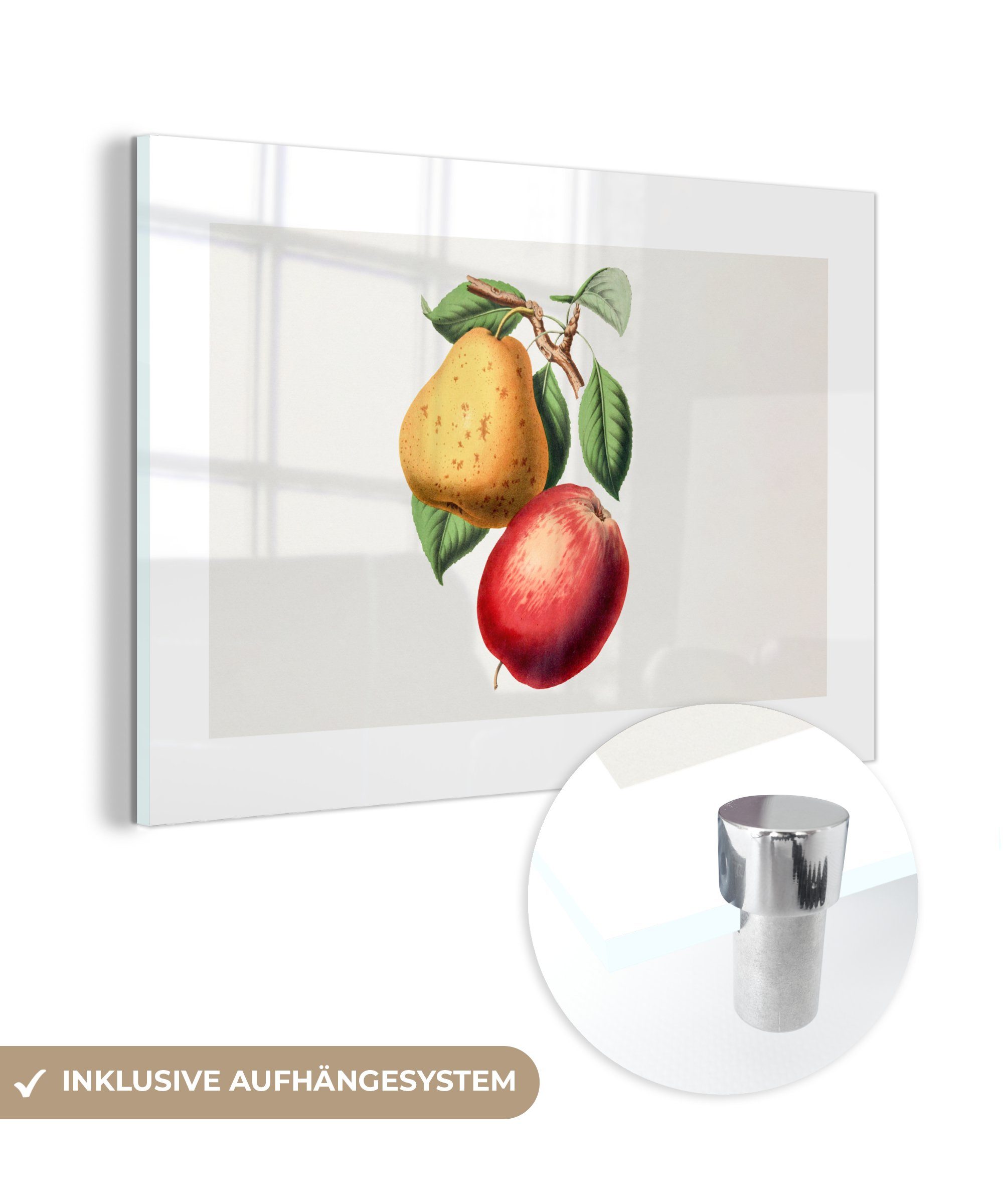 MuchoWow Acrylglasbild Glasbilder St), Wandbild - - Glas Apfel auf - Foto Wanddekoration Birne (1 Glas Obst, auf Bilder - 