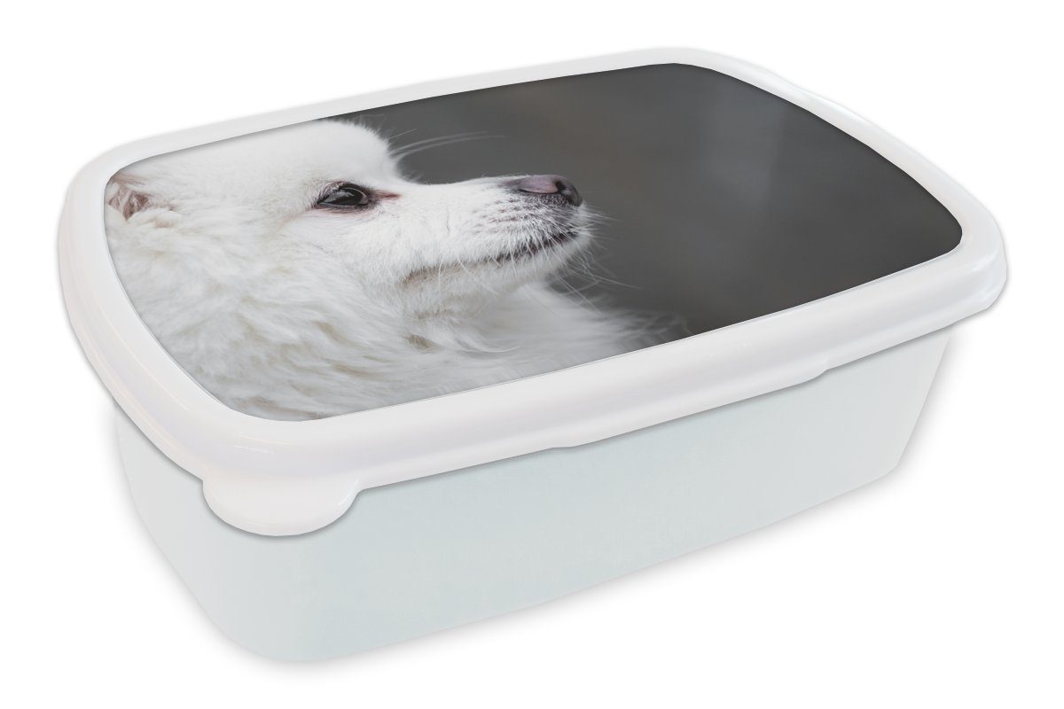 MuchoWow Lunchbox Hund schaut in die Ferne, Kunststoff, (2-tlg), Brotbox für Kinder und Erwachsene, Brotdose, für Jungs und Mädchen weiß