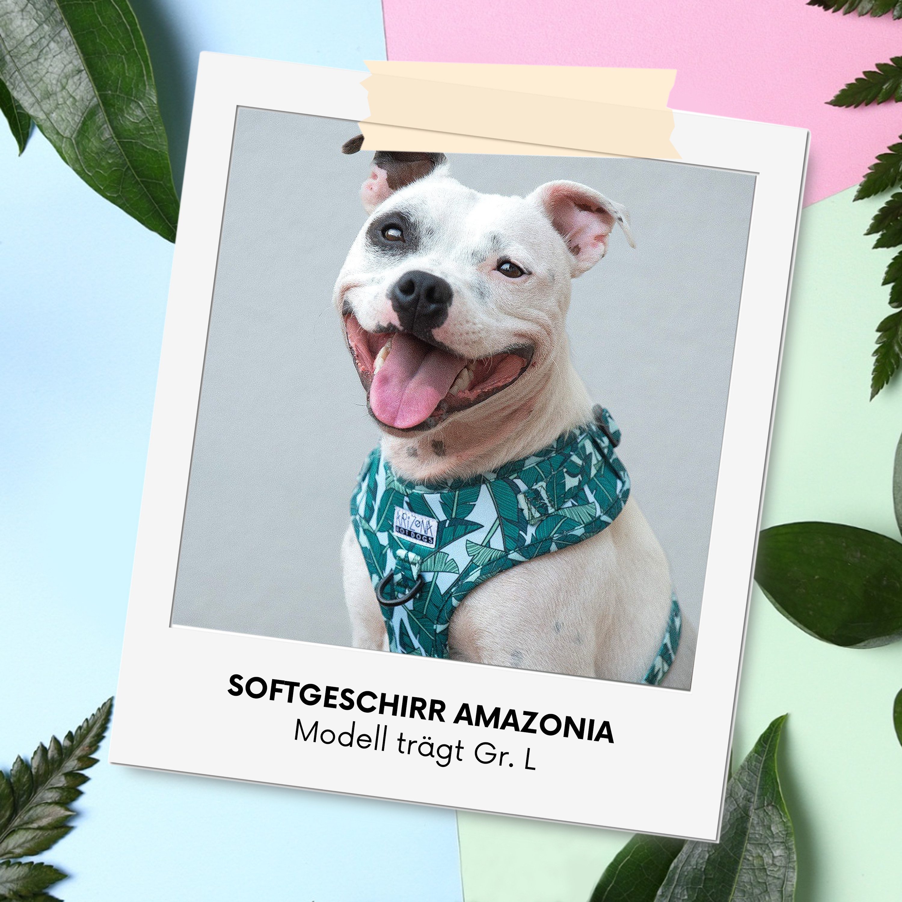 ARIZONA HOT DOGS Hunde-Geschirr Hundegeschirr Amazonia kleine Hunde XXS Blattmuster Arizona Hotdogs