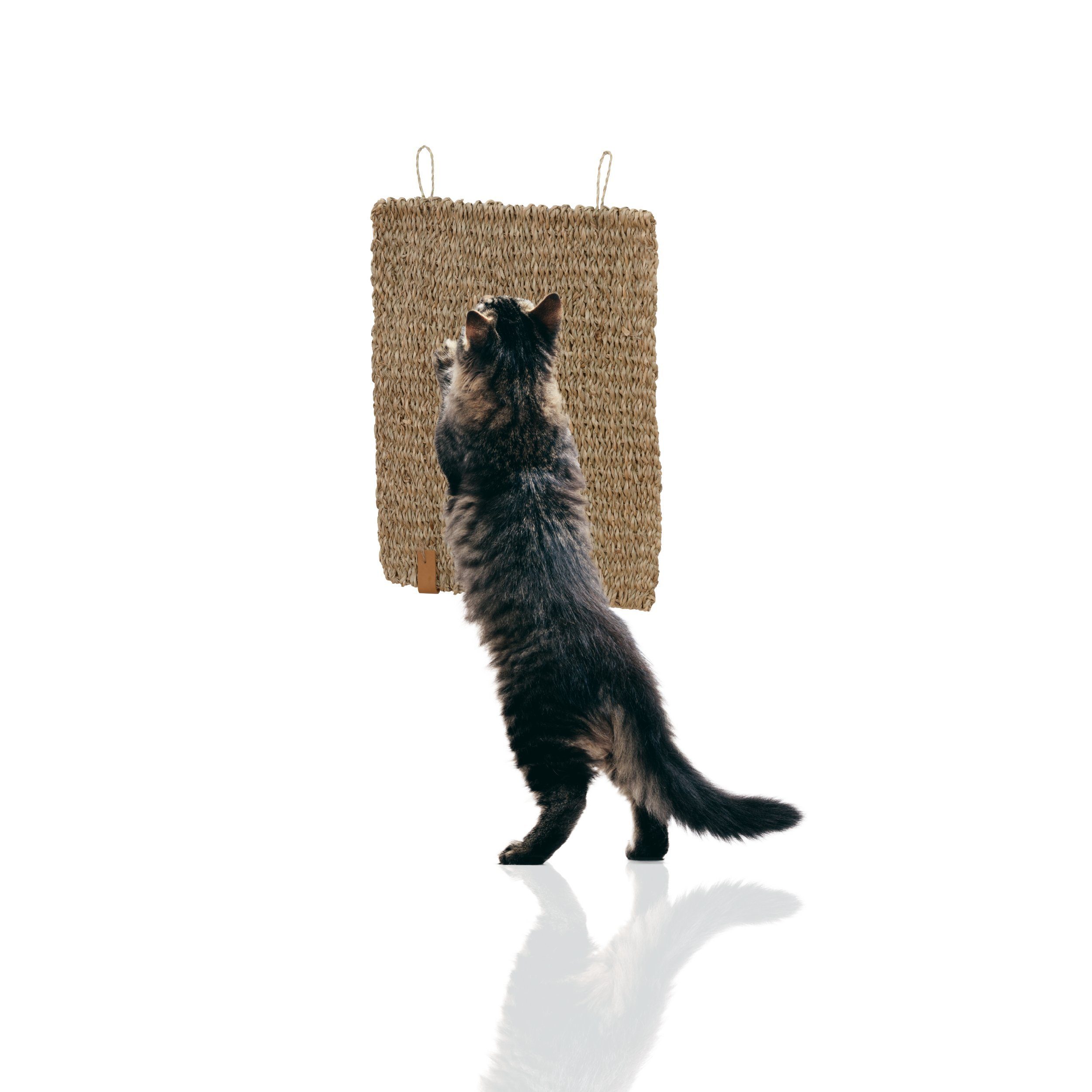 Kratzmatte Kratzmatte Katze eckig Seegrasmatte Kratzmatte Wand, einzeln