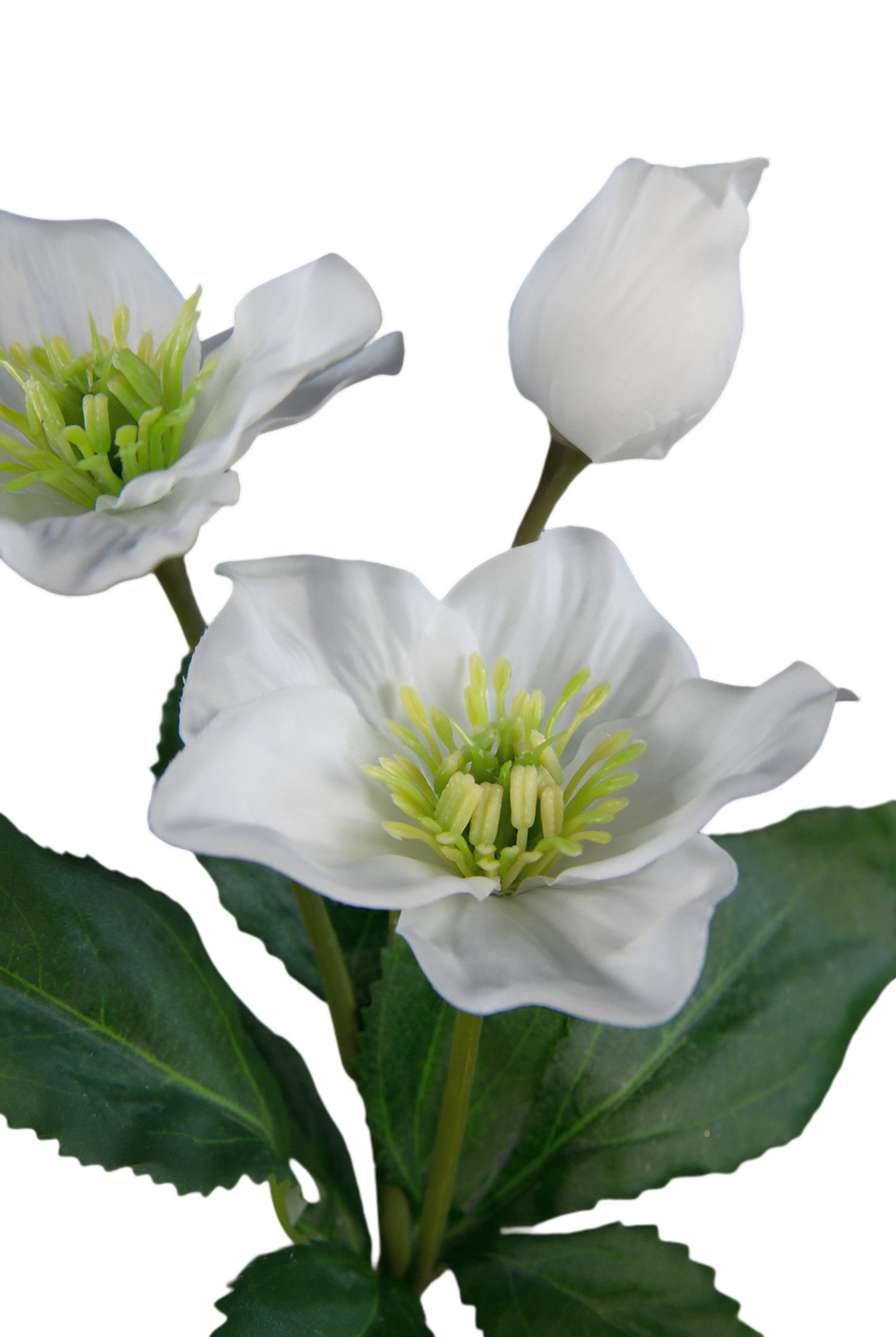 Kunstblume Christrose 34cm DP Dekoblumen künstliche Blumen Helleborus, Seid günstig online kaufen