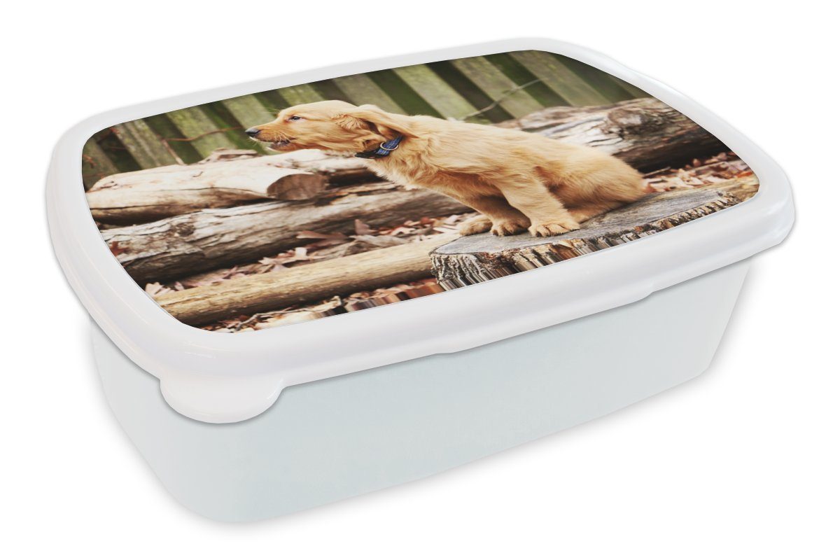 MuchoWow Lunchbox Hund - Zweig - Natur, Kunststoff, (2-tlg), Brotbox für Kinder und Erwachsene, Brotdose, für Jungs und Mädchen weiß