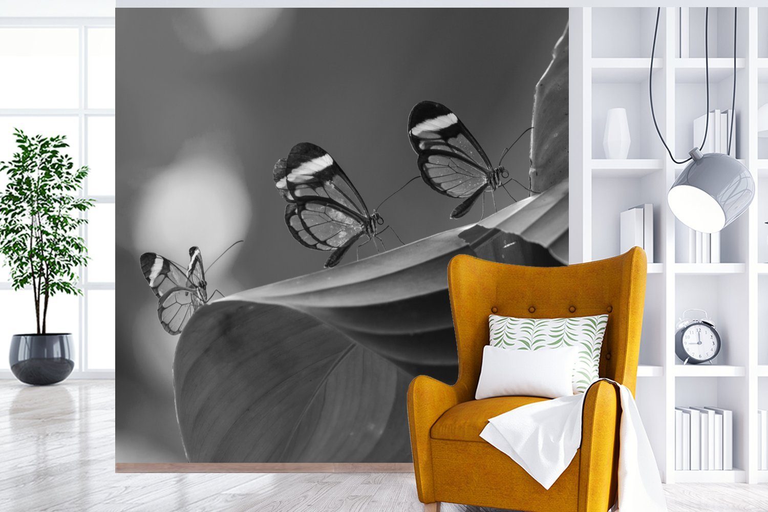 Schmetterling Fototapete St), Tapete Blatt einem Costa in Schlafzimmer, MuchoWow für oder Matt, in Wohnzimmer auf bedruckt, schwarz, Transparenter Vinyl Wandtapete (5 Rica