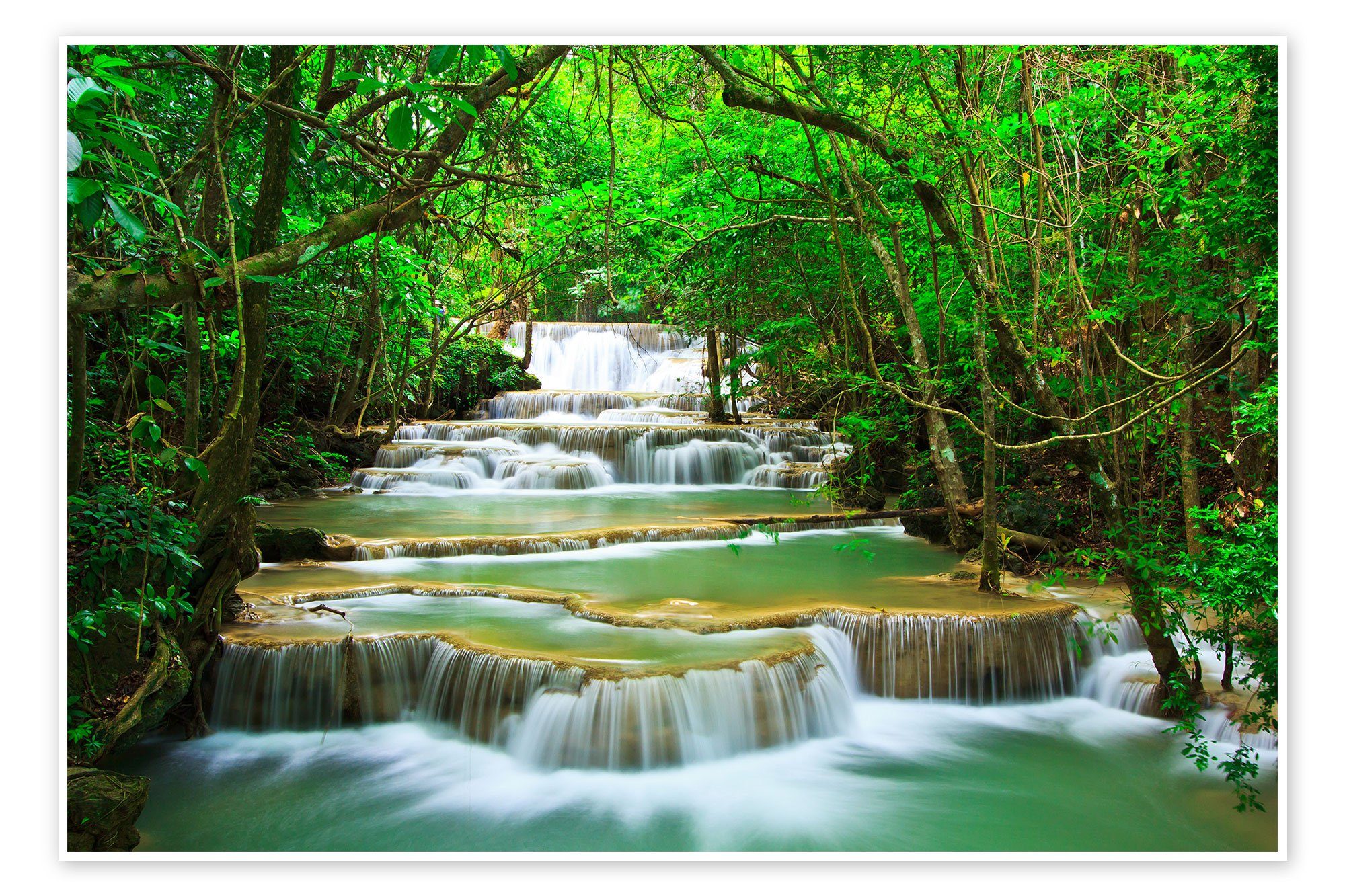 Posterlounge Poster Editors Choice, Üppige Flusslandschaft, Fotografie