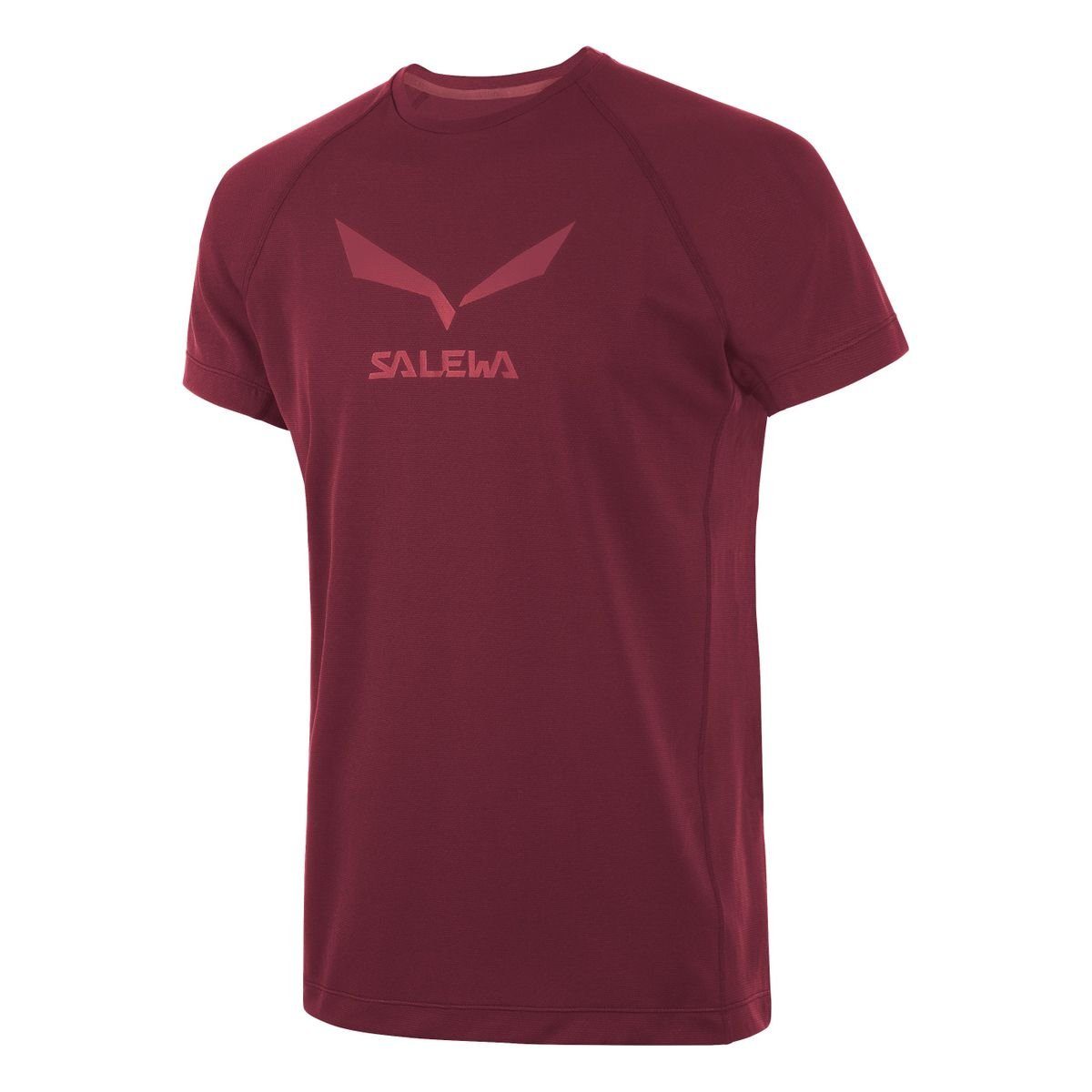 Salewa T-Shirt Salewa - Logo Dry Tee (T-Shirt Herren) tawny port
