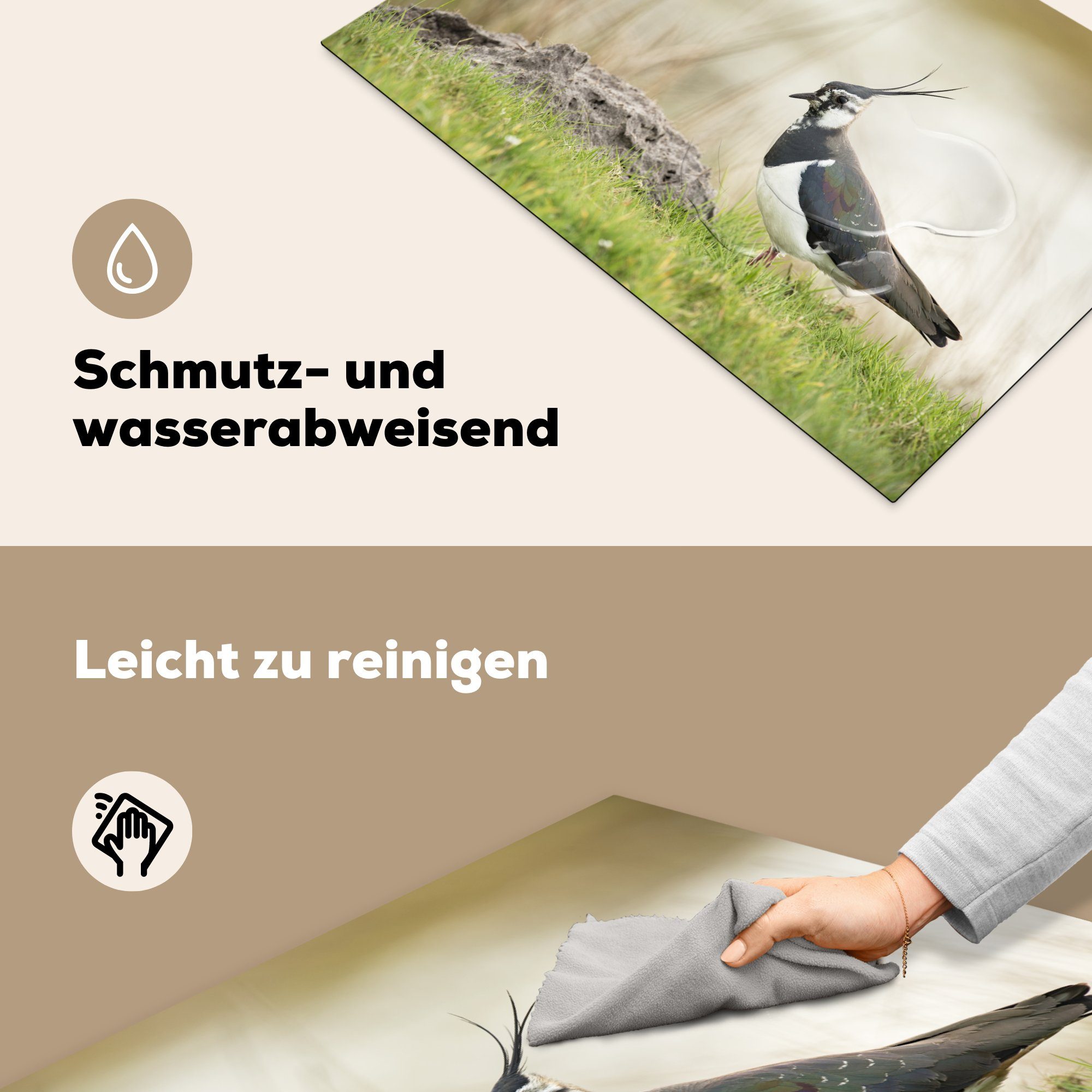 MuchoWow Herdblende-/Abdeckplatte Vogel - für Gras - Natur tlg), Arbeitsplatte - (1 - Tiere cm, küche 77x51 Kiebitz, Vinyl, Ceranfeldabdeckung