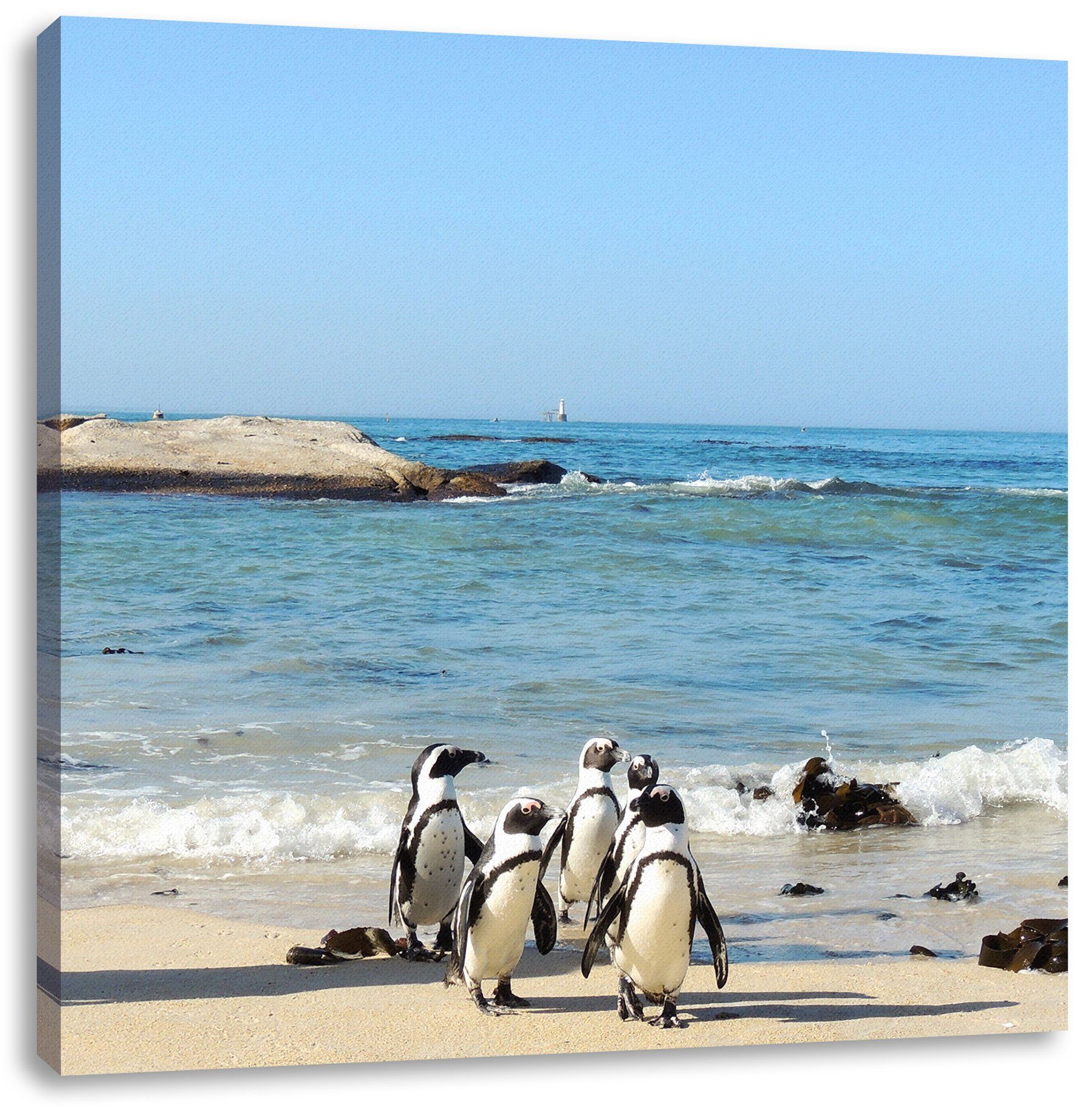 Pixxprint Leinwandbild Pinguine am Strand, Pinguine am Strand (1 St), Leinwandbild fertig bespannt, inkl. Zackenaufhänger