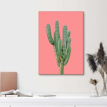 Posterlounge Leinwandbild Finlay and Noa, Kaktus in Pink, Wohnzimmer Skandinavisch Fotografie