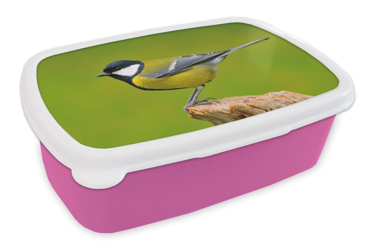 MuchoWow Lunchbox Vogel - Kohlmeise - Tiere - Grün, Kunststoff, (2-tlg), Brotbox für Erwachsene, Brotdose Kinder, Snackbox, Mädchen, Kunststoff rosa