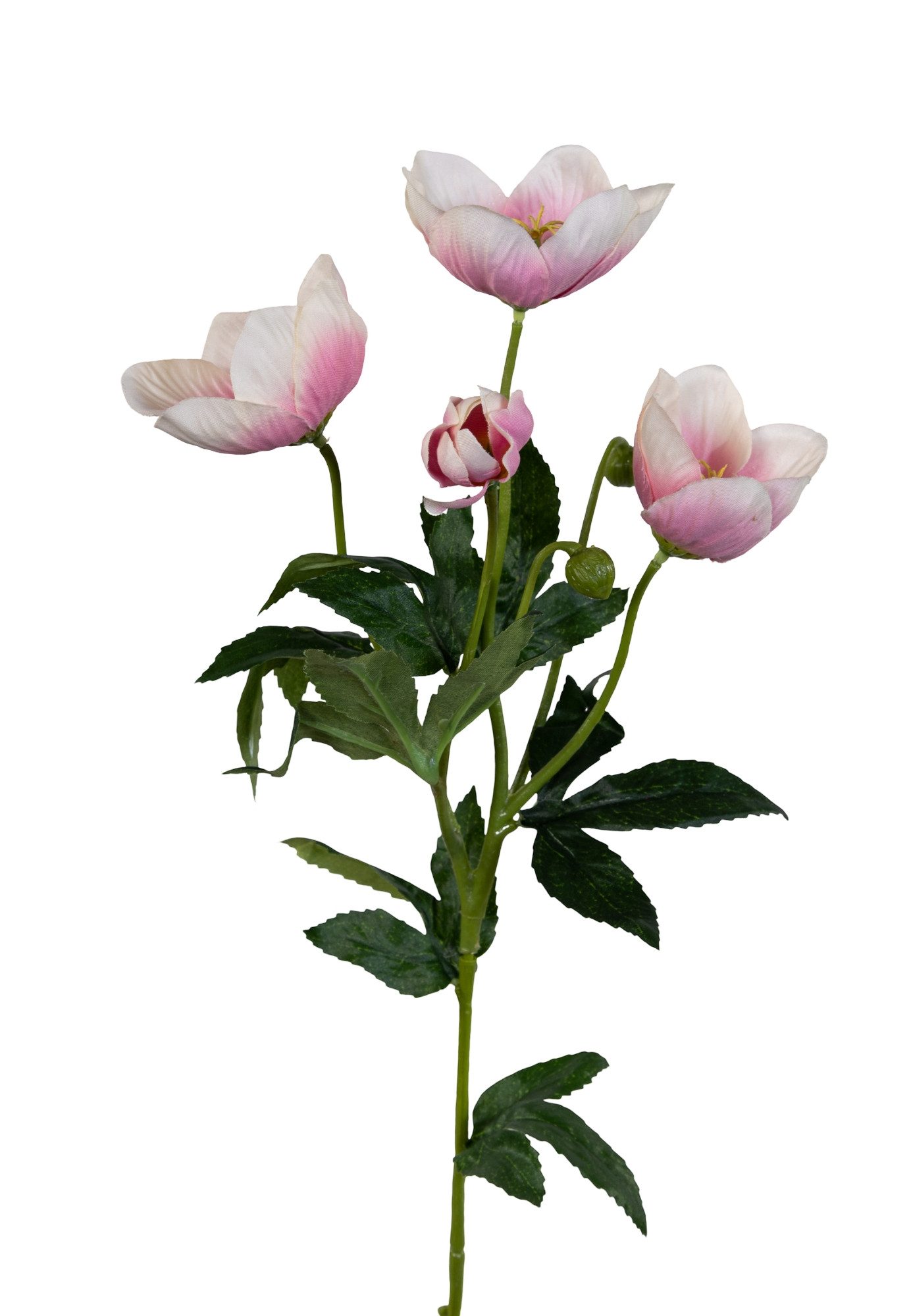 Kunstblume Christrose 62cm PM Dekoblumen künstliche Christrose Blumen Helleborus, Seidenblumen Roß, Höhe 62 cm, Farbe: Hellrosa