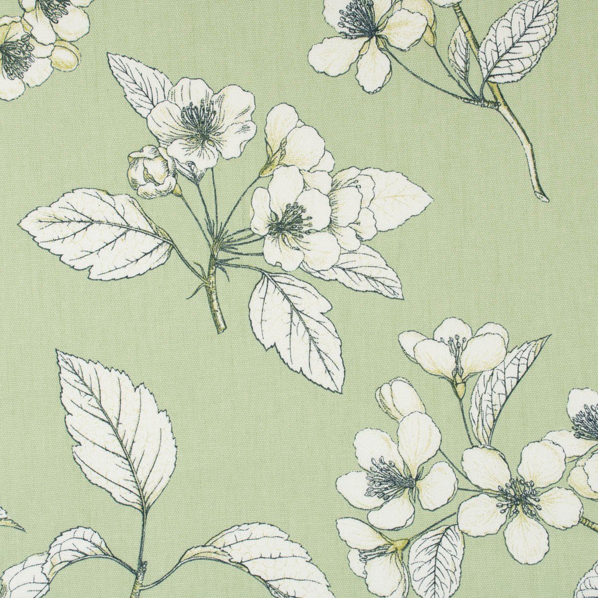 Prestigious Textiles Stoff Dekostoff Baumwolle Cherry Blossom Kirschblüten  grün weiß 140cm, pflegeleicht
