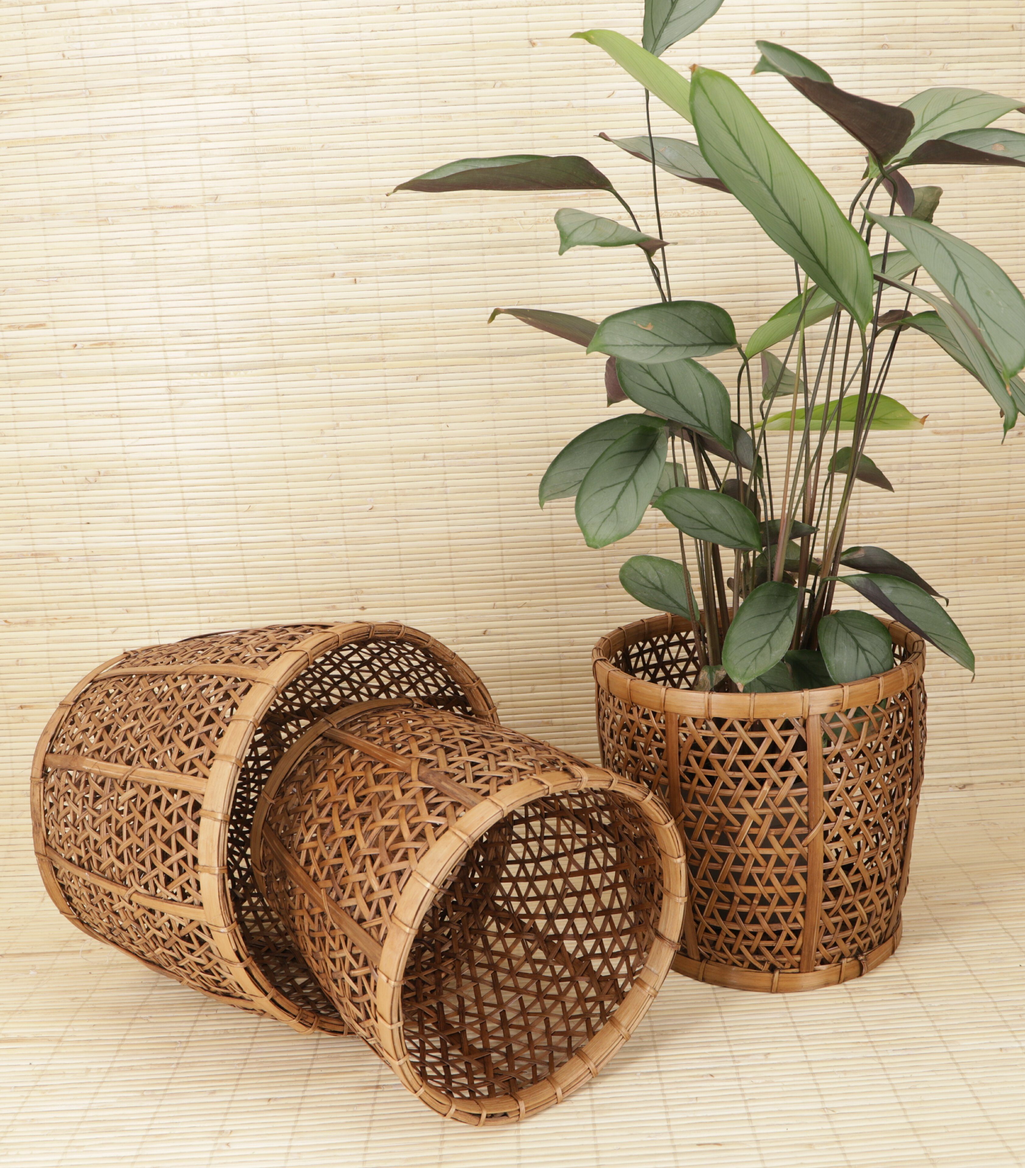 Allzweckkorb Rattan Papierkorb, Übertopf, Korb in drei Größen