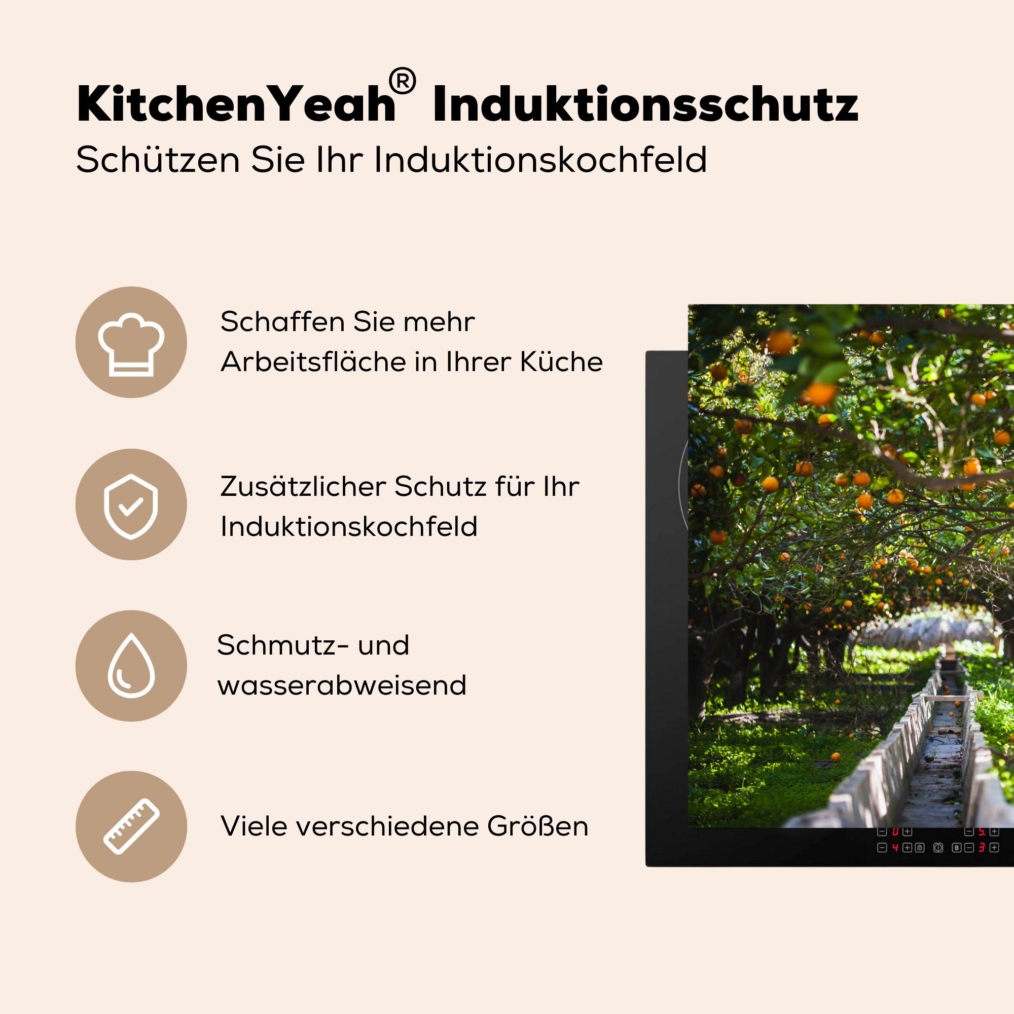 81x52 MuchoWow Schutz für küche, (1 die Ceranfeldabdeckung in Orangenplantage Vinyl, Spanien, cm, Herdblende-/Abdeckplatte tlg), Induktionskochfeld