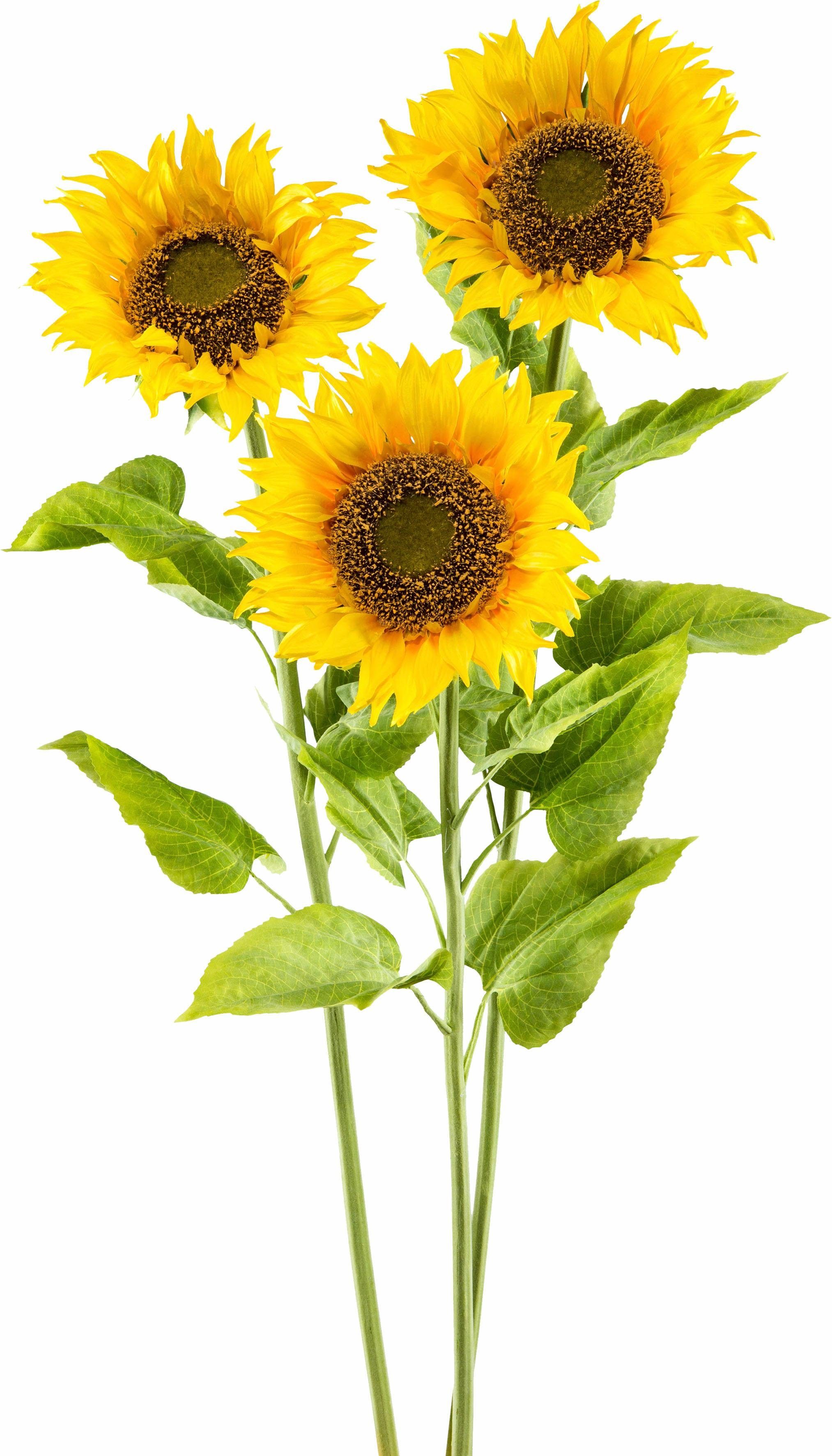 Kunstblume XL, Creativ green, Höhe 110 cm günstig online kaufen