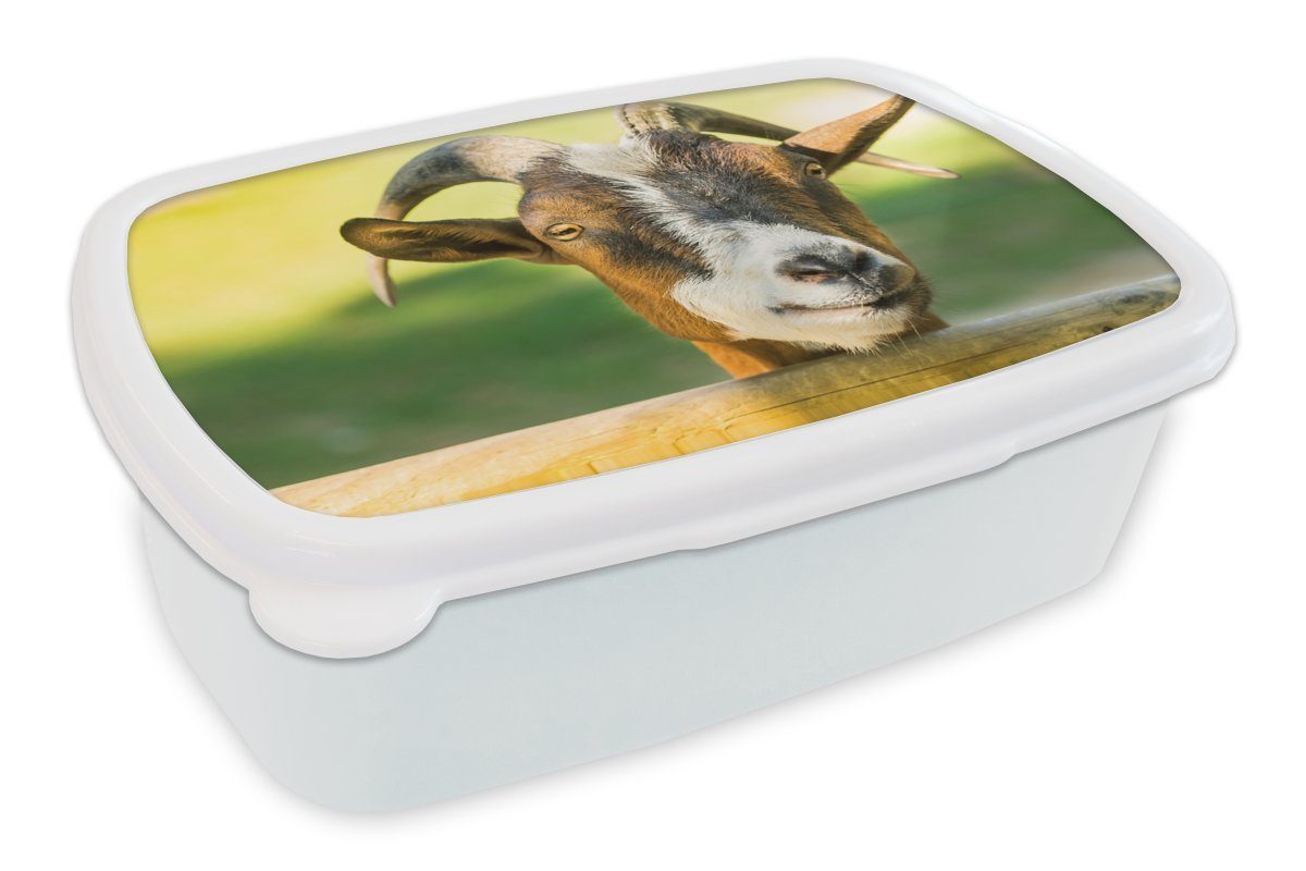 und Mädchen Tiere Ziege für - weiß Brotbox Kinder für - MuchoWow Kunststoff, Horn, Lunchbox Zaun (2-tlg), und - Erwachsene, Jungs Brotdose,