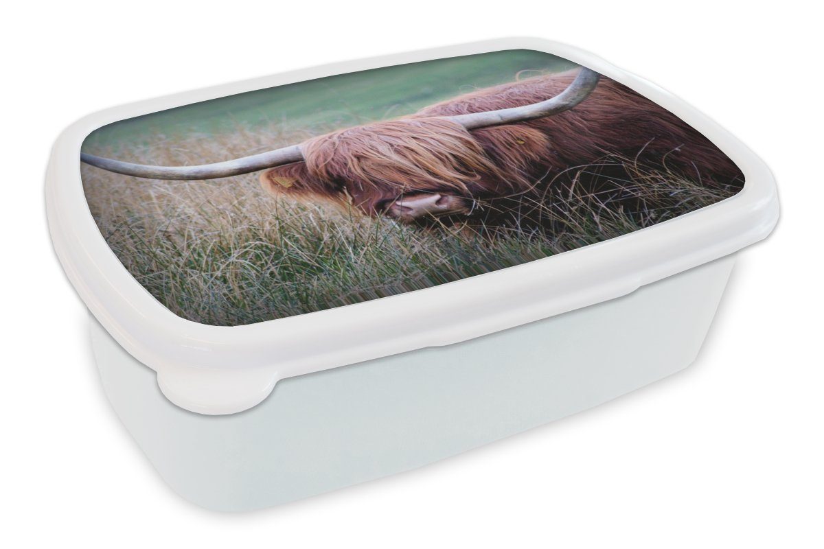 MuchoWow Lunchbox Schottischer Highlander - Hörner - Gras, Kunststoff, (2-tlg), Brotbox für Kinder und Erwachsene, Brotdose, für Jungs und Mädchen weiß