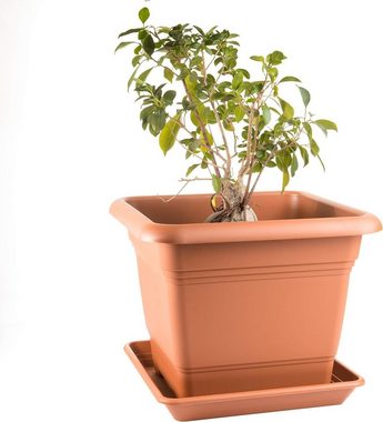 2friends Blumentopf 6er Set Blumentöpfe Pflanzkübel Groß Aussen, 48cm x 48cm mit Untersetzer Terracotta, Pflanzentopf