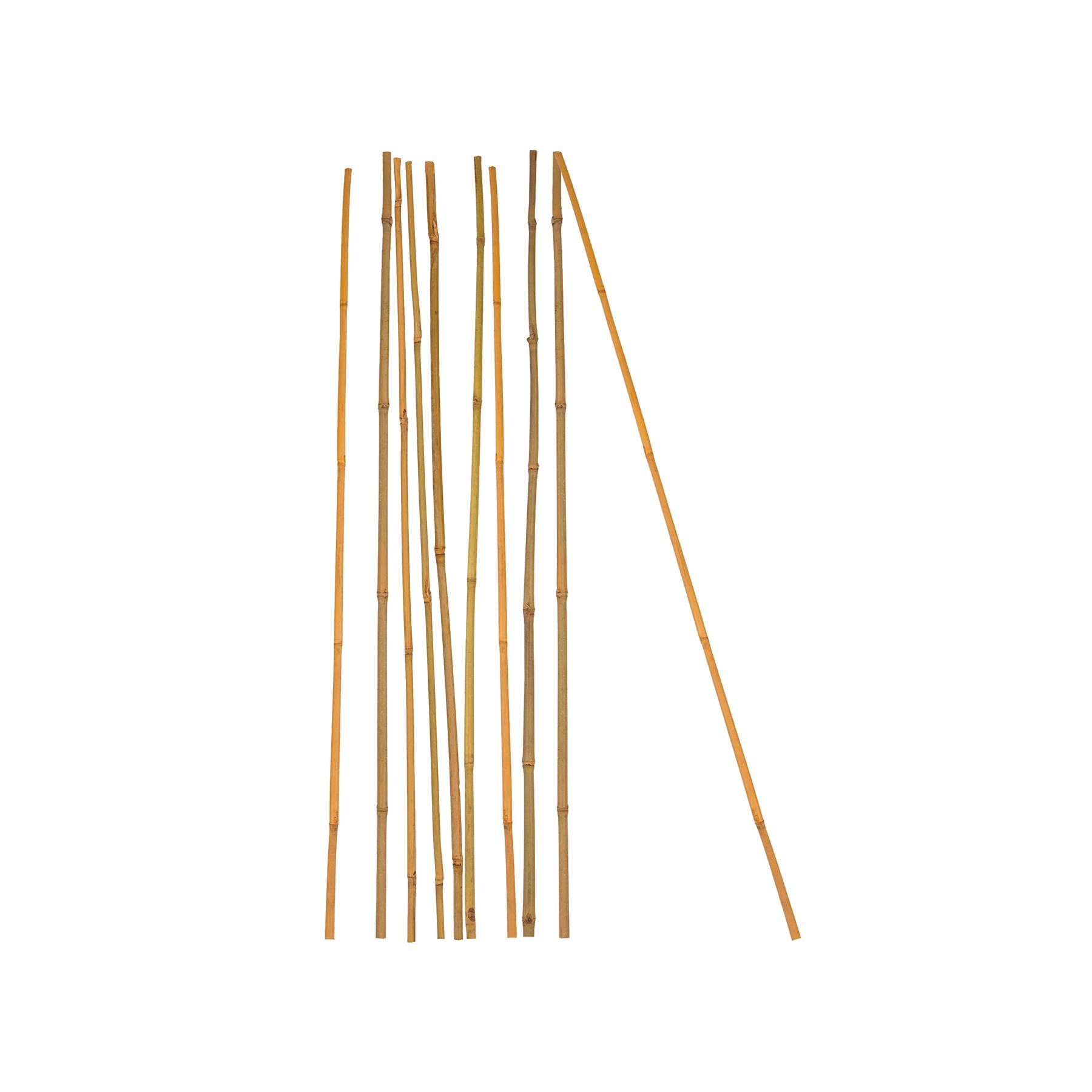 BigDean Ranksäule Pflanzstab Bambusstab 100% Naturprodukt Set, 10 St., Bambusstäbe, 100% Natur, Drinnen & Draußen geeignegt.