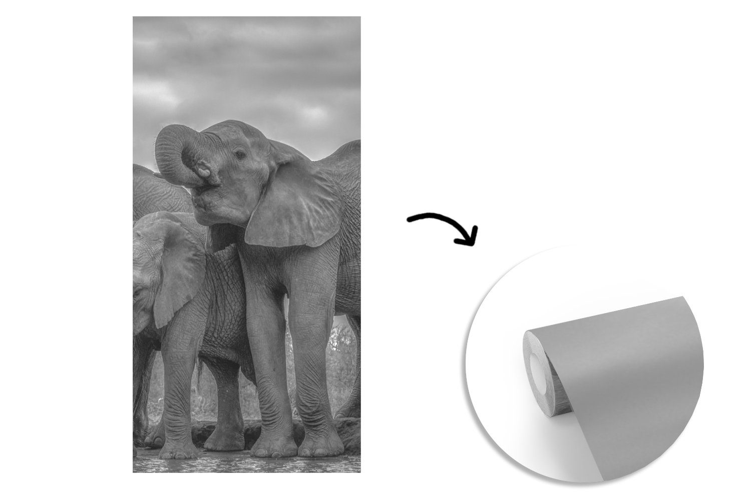 Schwarz St), - Fototapete Vliestapete - Elefant Fototapete und Tiere (2 bedruckt, Wasser Matt, weiß, Schlafzimmer MuchoWow Küche, - Wohnzimmer für