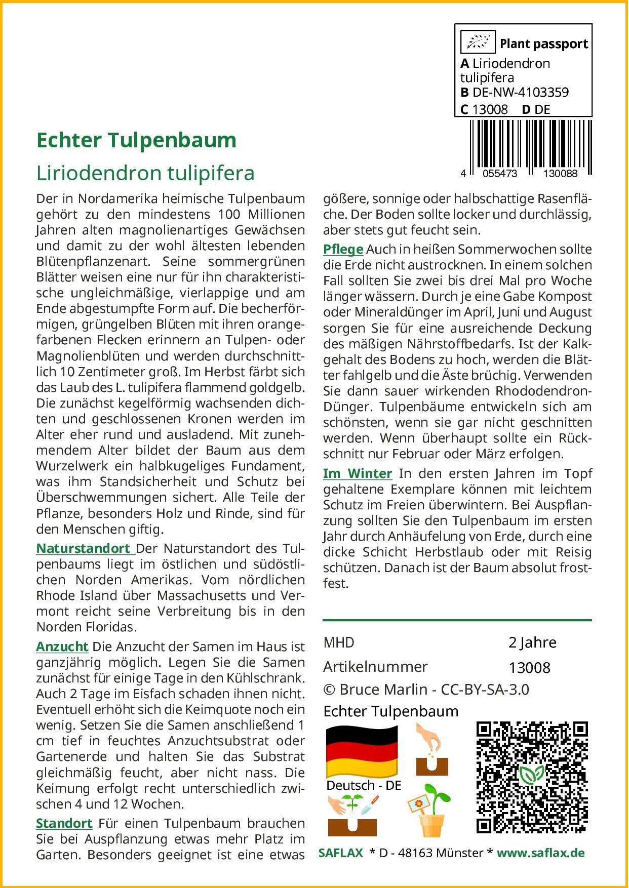 Thumbnail - SAFLAX Blumensamen SAFLAX - Samen - Echter Tulpenbaum