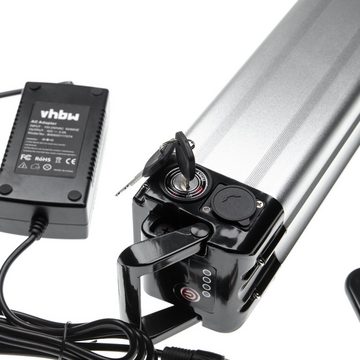 vhbw für E-Bike Akku Li-Ion 8800 mAh (36 V)
