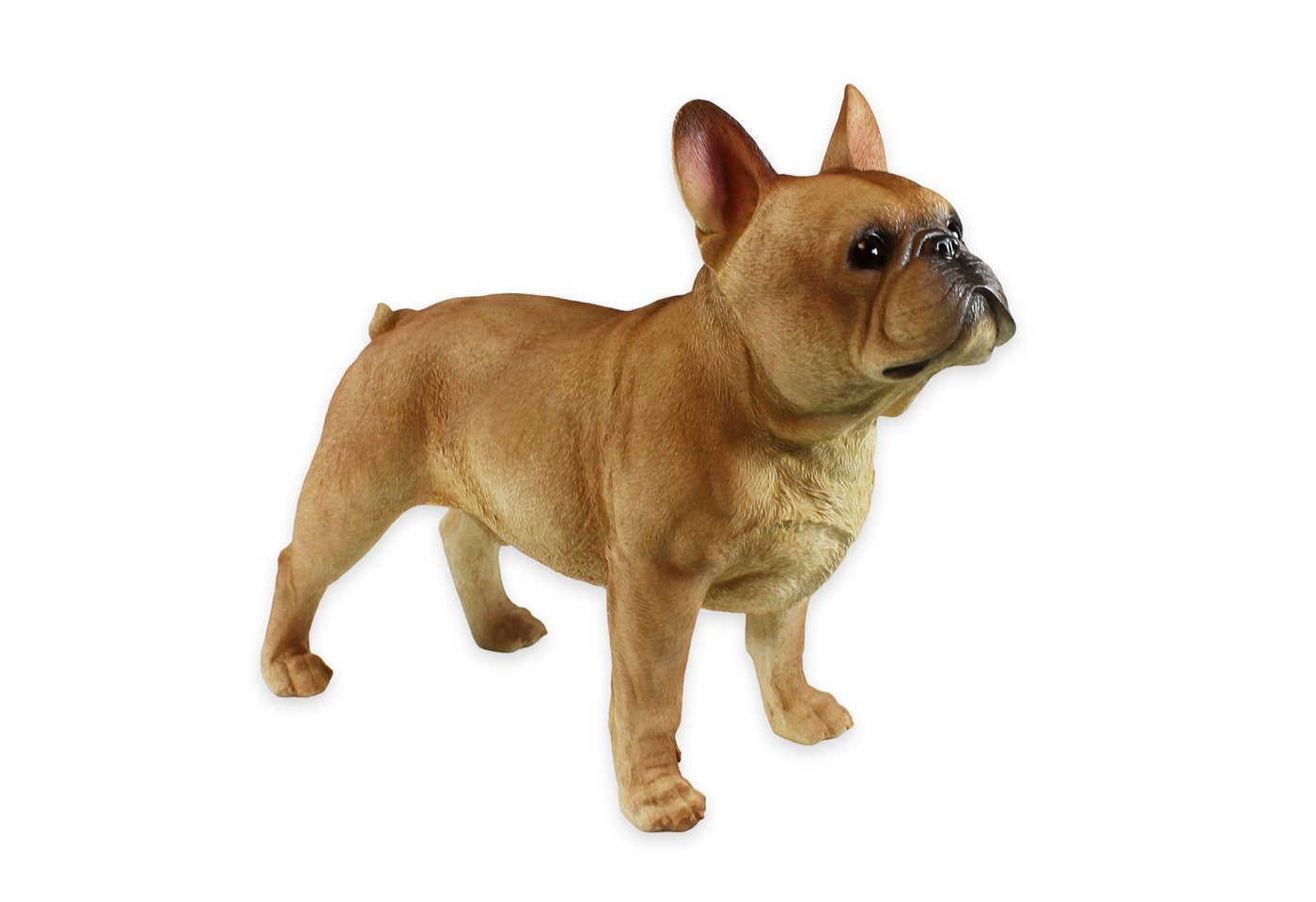 colourliving Tierfigur Hunde Figur Bulldogge Figur stehend, französische Bulldogge, für Hundeliebhaber und Tierfreunde ein Highlight