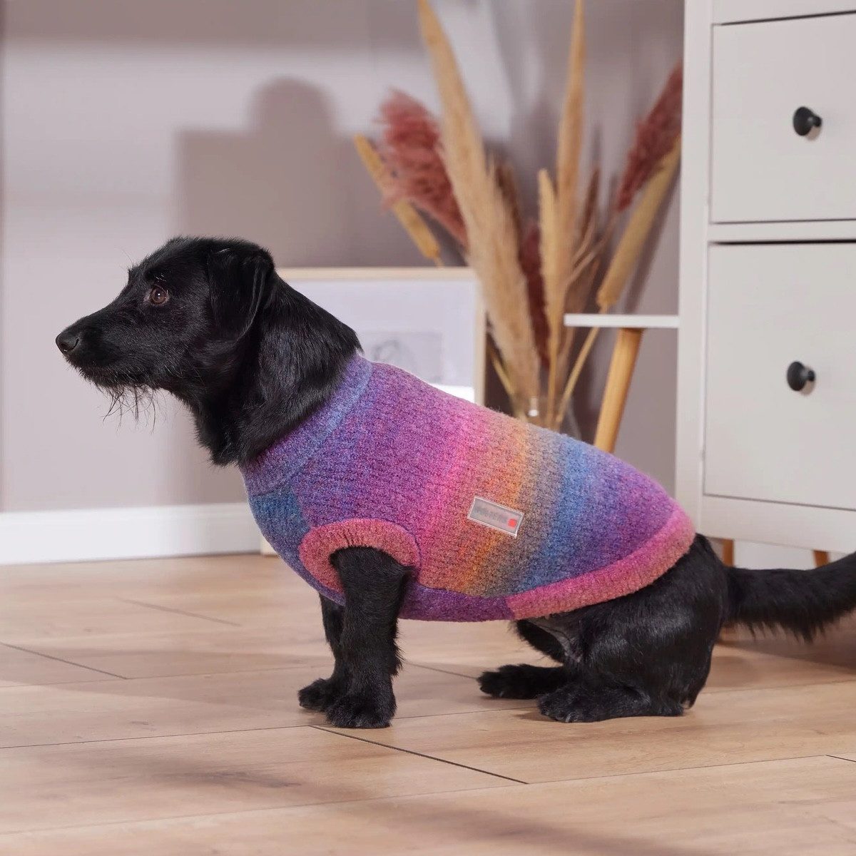 Wolters Hundepullover Strickpullover Rainbow