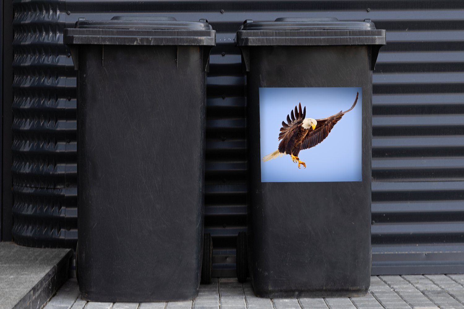 Seeadler - Mülltonne, Vögel Abfalbehälter Adler Mülleimer-aufkleber, - Wandsticker Jagd Container, St), - MuchoWow Sticker, (1