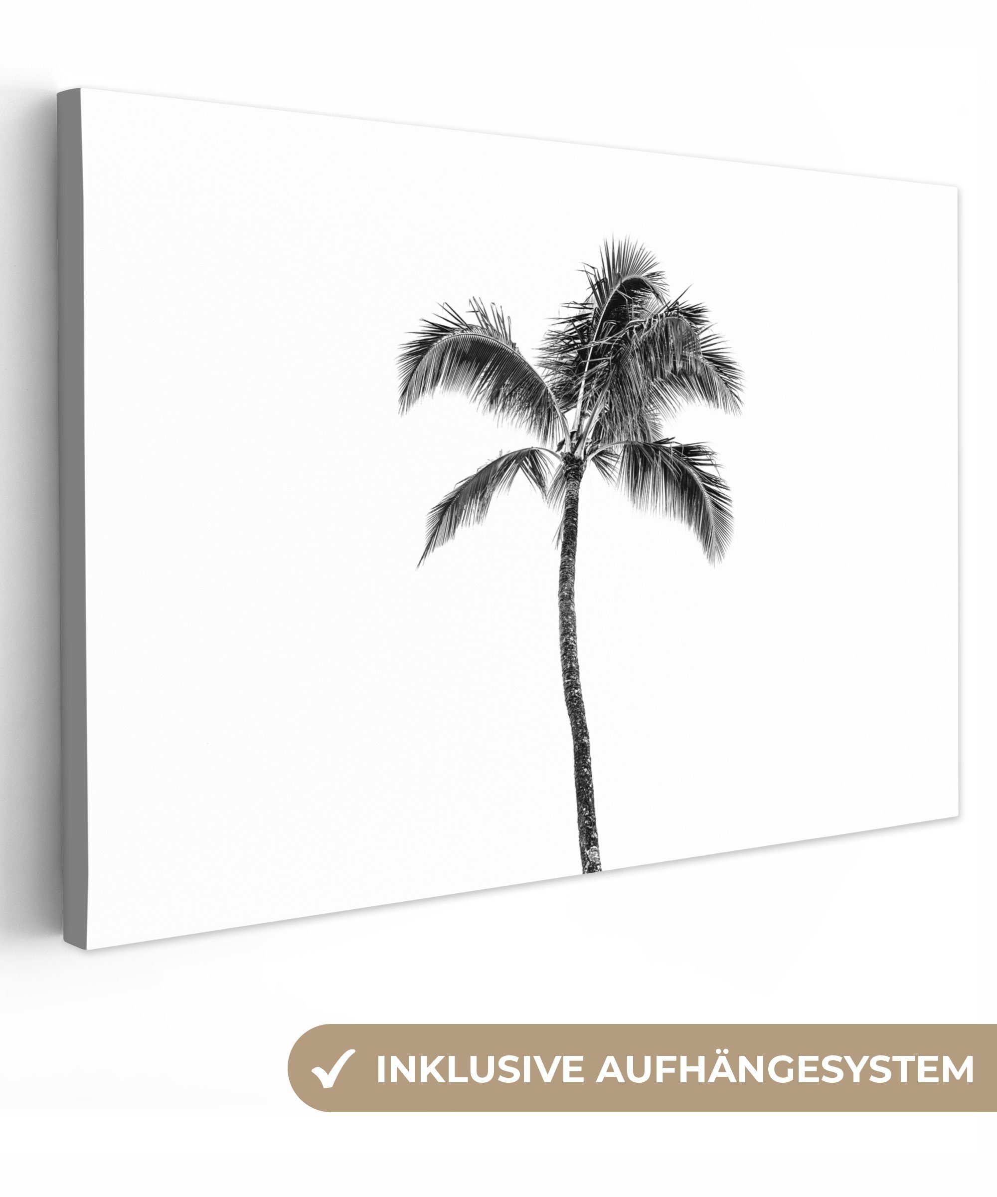 OneMillionCanvasses® Leinwandbild Palme - Tropisch - Schwarz und weiß, (1 St), Wandbild Leinwandbilder, Aufhängefertig, Wanddeko, 30x20 cm