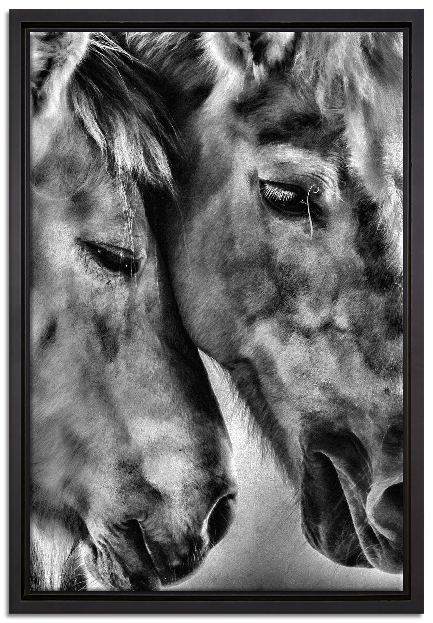 Pixxprint Leinwandbild zwei liebevolle Pferde, Wanddekoration (1 St), Leinwandbild fertig bespannt, in einem Schattenfugen-Bilderrahmen gefasst, inkl. Zackenaufhänger