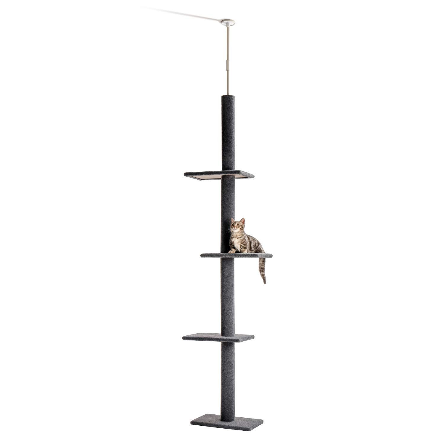 Purpurra Katzen-Kletterwand Deckenhoher Katzenkletterbaum mit deckenspanner, bis 228 cm