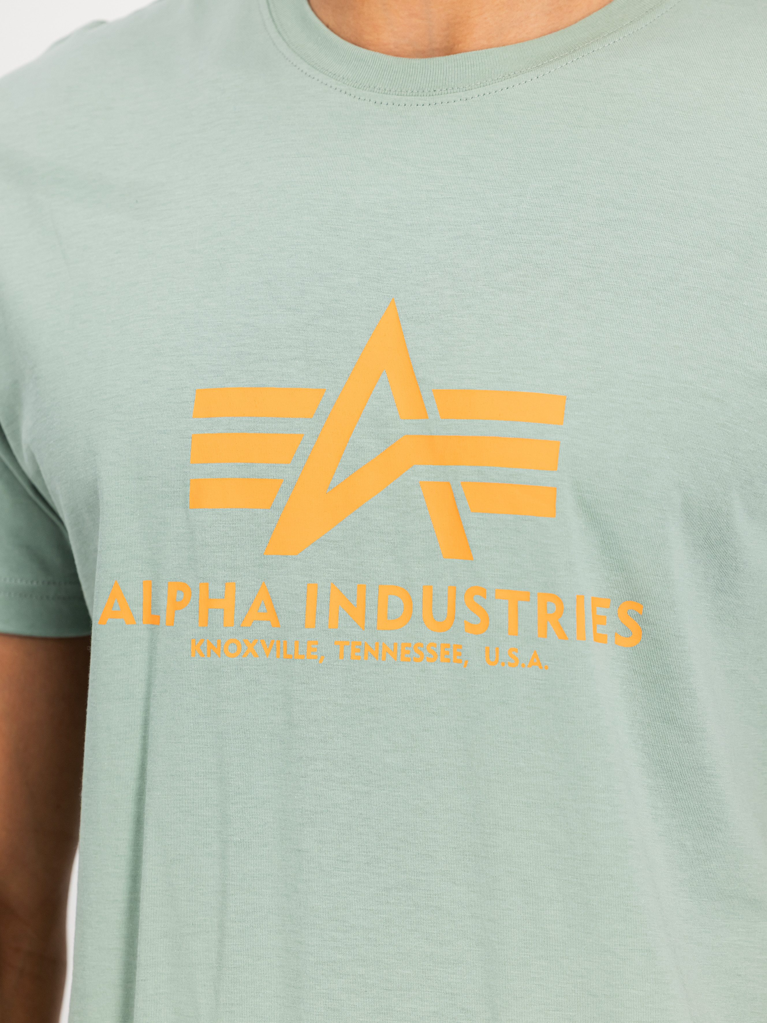 Alpha Industries T-Shirt Basic T-Shirt Baumwolle, regular fit
