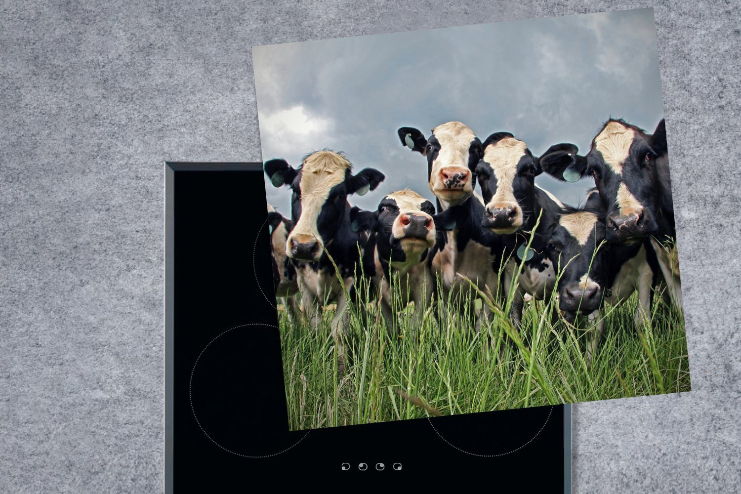 - Ceranfeldabdeckung, MuchoWow für Tiere, tlg), Gras - cm, 78x78 Kuh küche - Herdblende-/Abdeckplatte (1 Arbeitsplatte Vinyl, Wolken