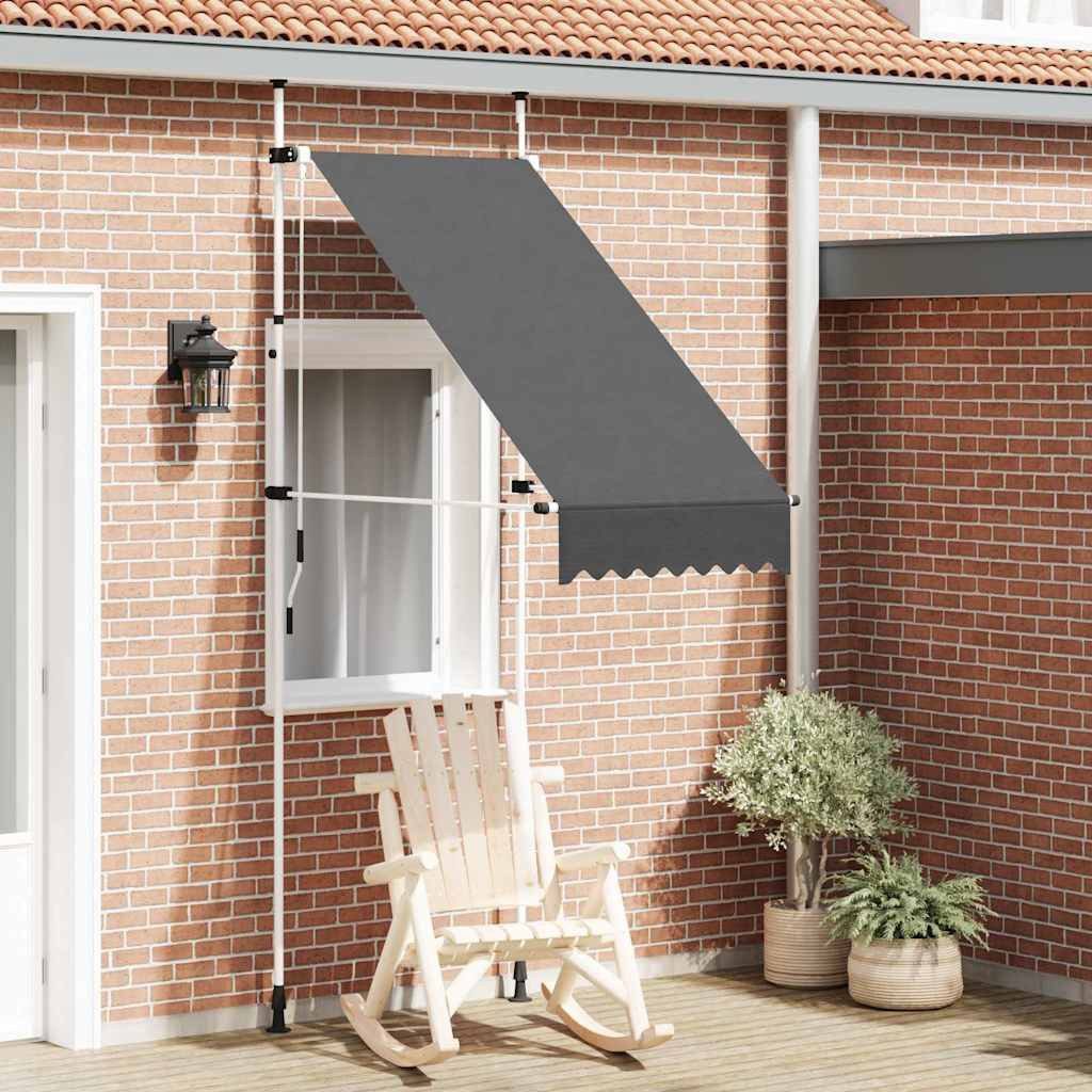 vidaXL Markise vidaXL Einziehbare Markise Handbetrieben 100 cm Anthrazit