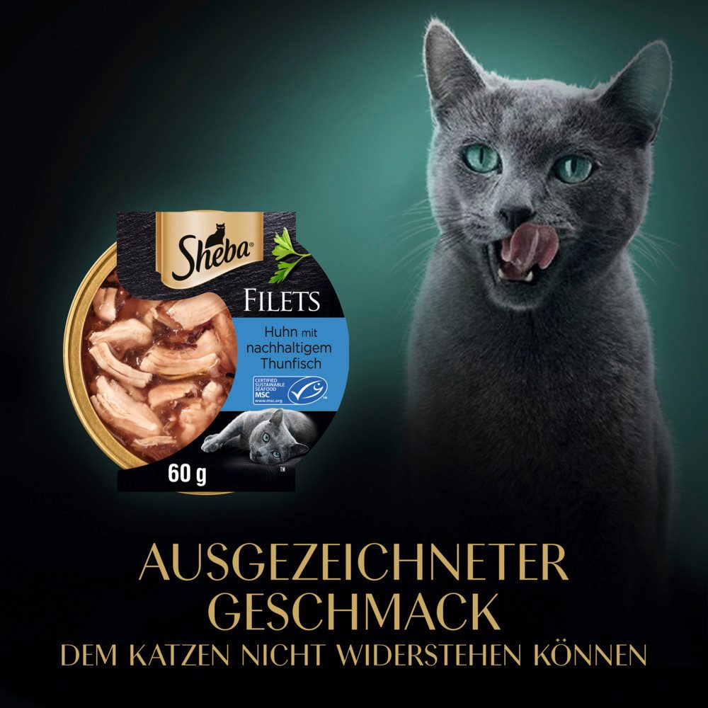 Sheba SHEBA® Schale Filets Huhn mit nachhaltigem Thunfisch 60g, für: Katze
