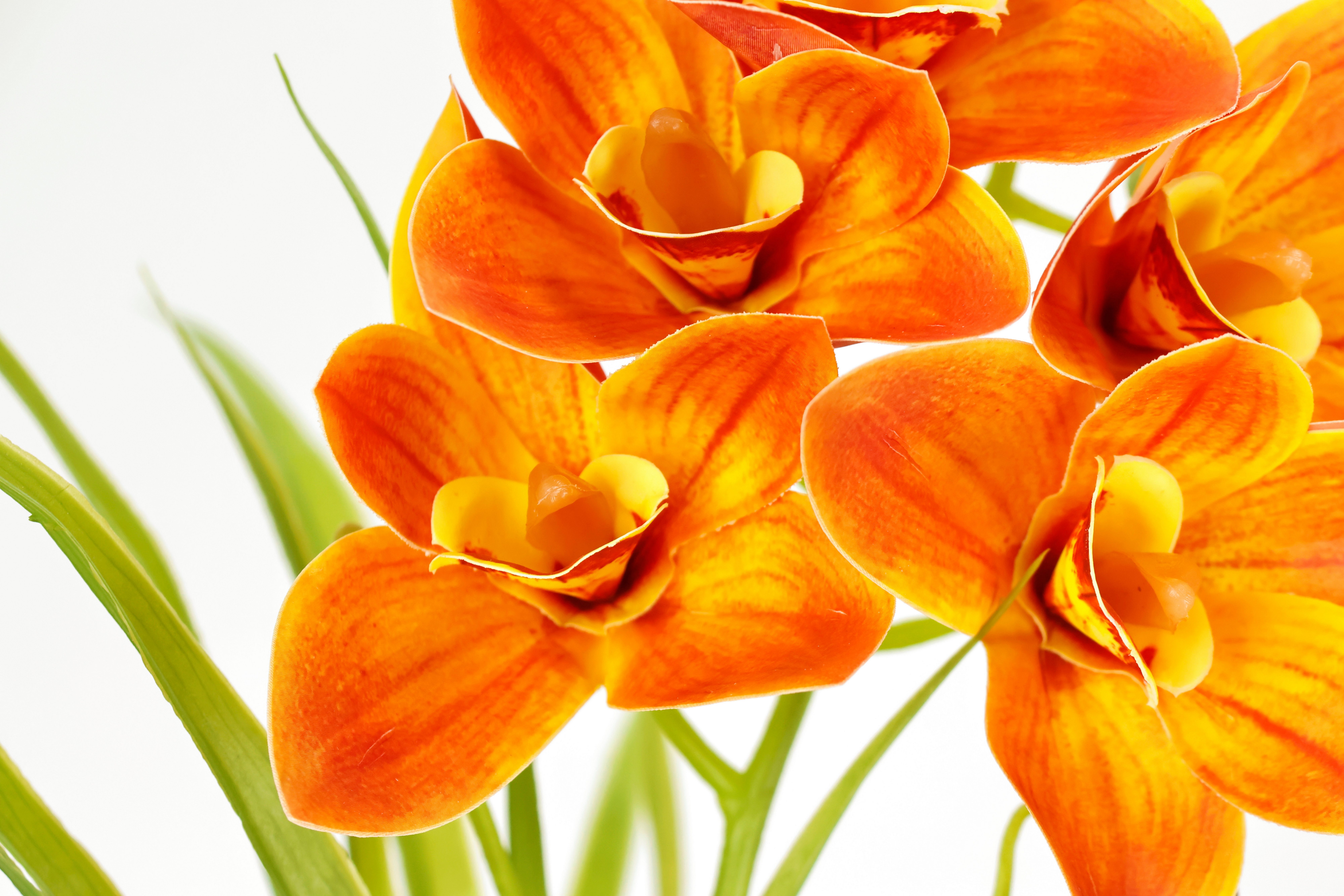 Kunstorchidee Orchidee Phalaenopsis im Topf, I.GE.A., Höhe 40 cm, Blume Kun günstig online kaufen