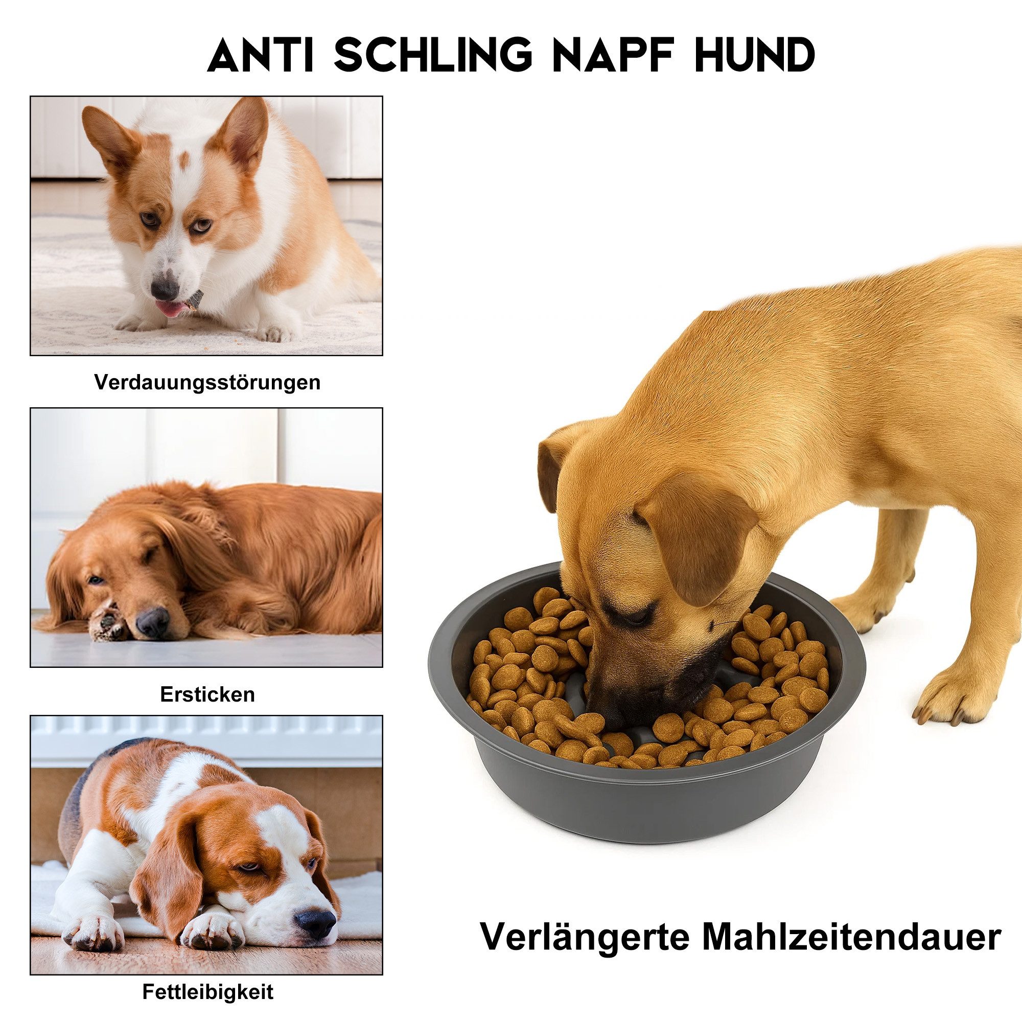 CALIYO Futternapf Adjustable Elevated Dog Bowls Raised Dog Bowl 5 Heights, Edelstahl, 2-in-1 Auslaufsicherer Wassernapf und Edelstahl-Futternapf